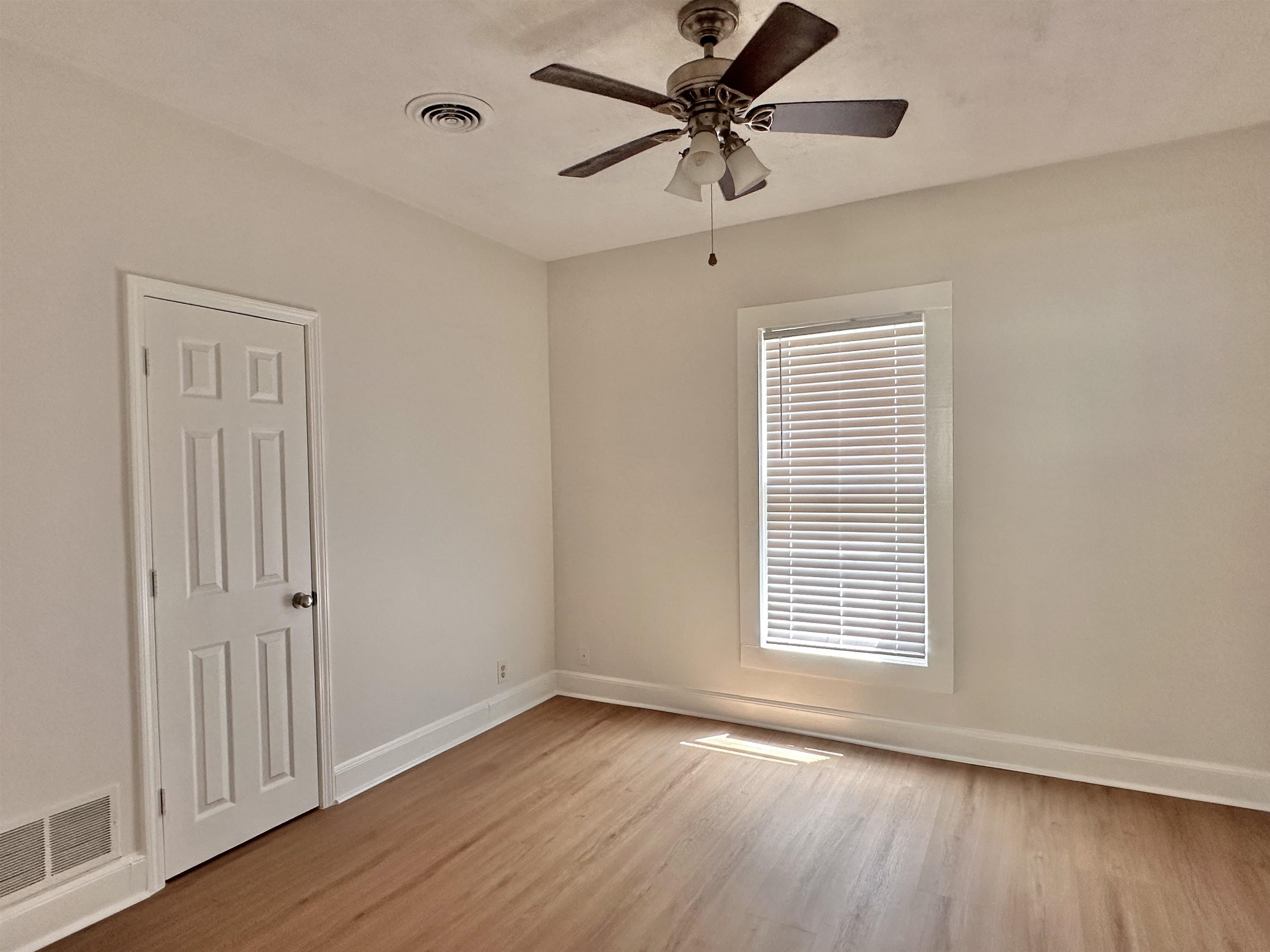 171 Marne St Property Photo 17