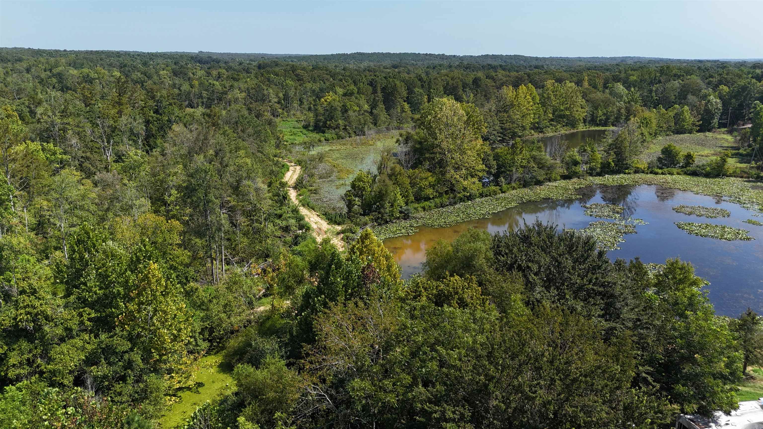 2780 Overton Loop Property Photo 1