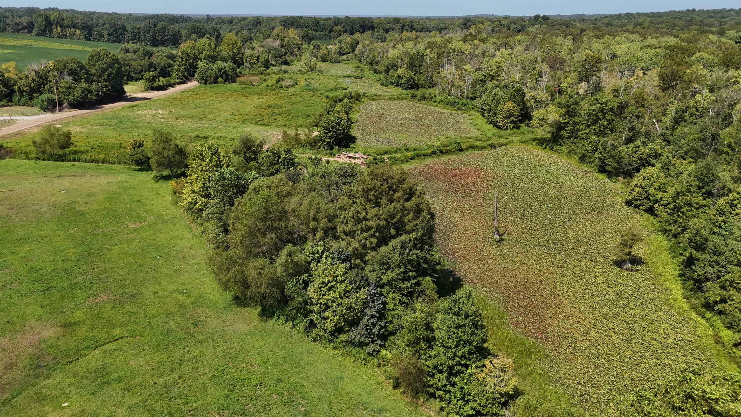 2780 Overton Loop Property Photo 2