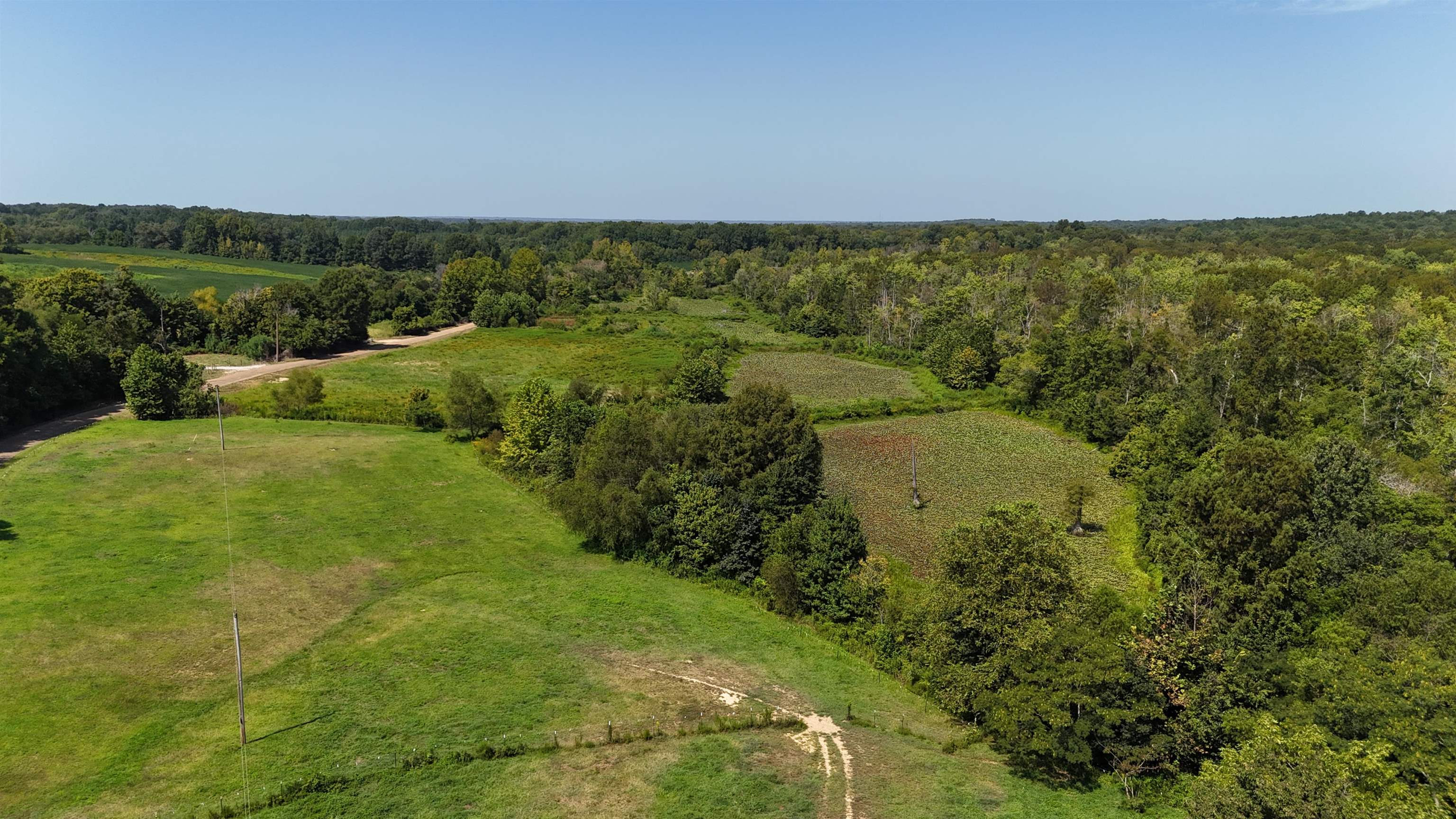 2780 Overton Loop Property Photo 4