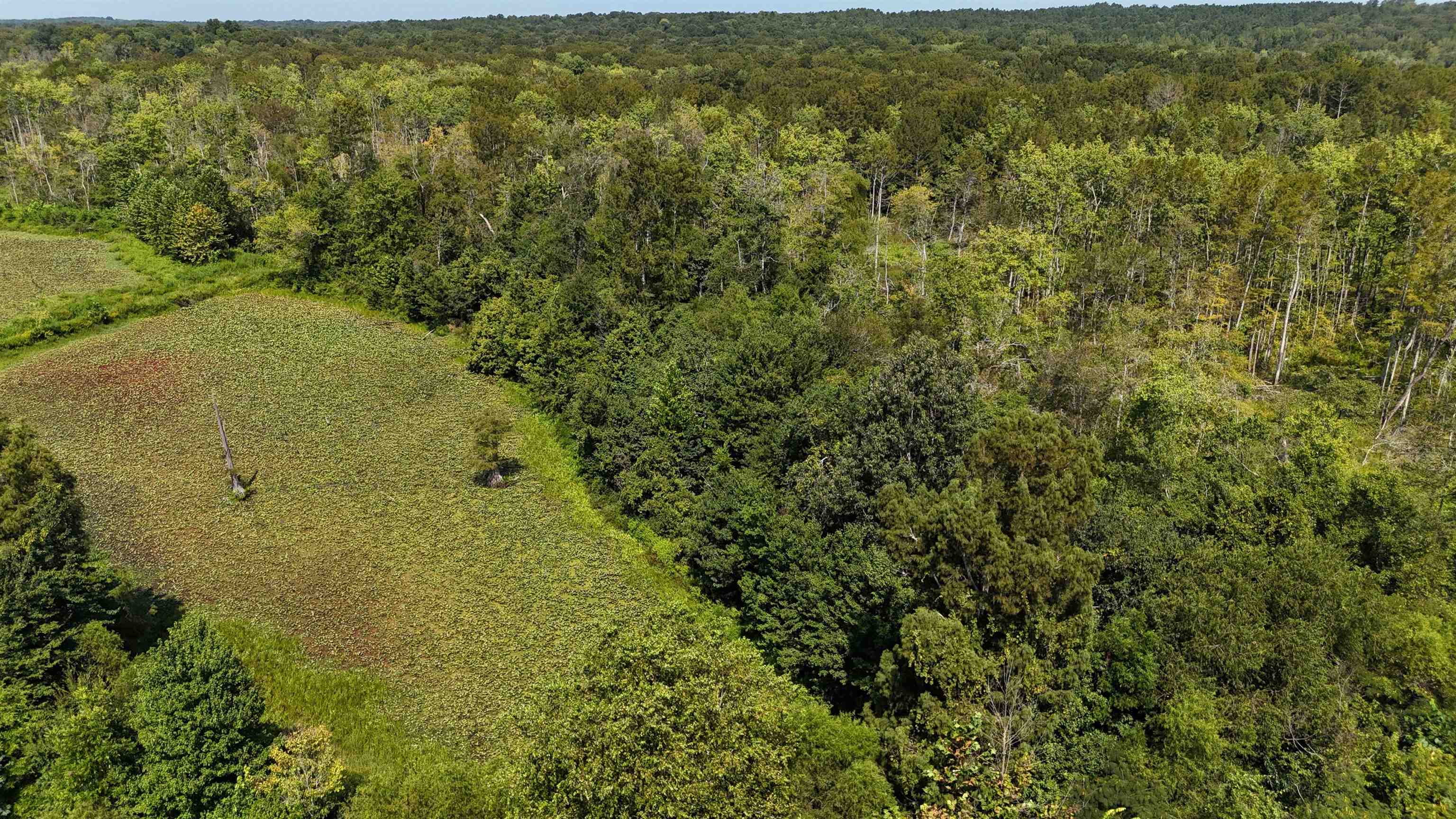 2780 Overton Loop Property Photo 6