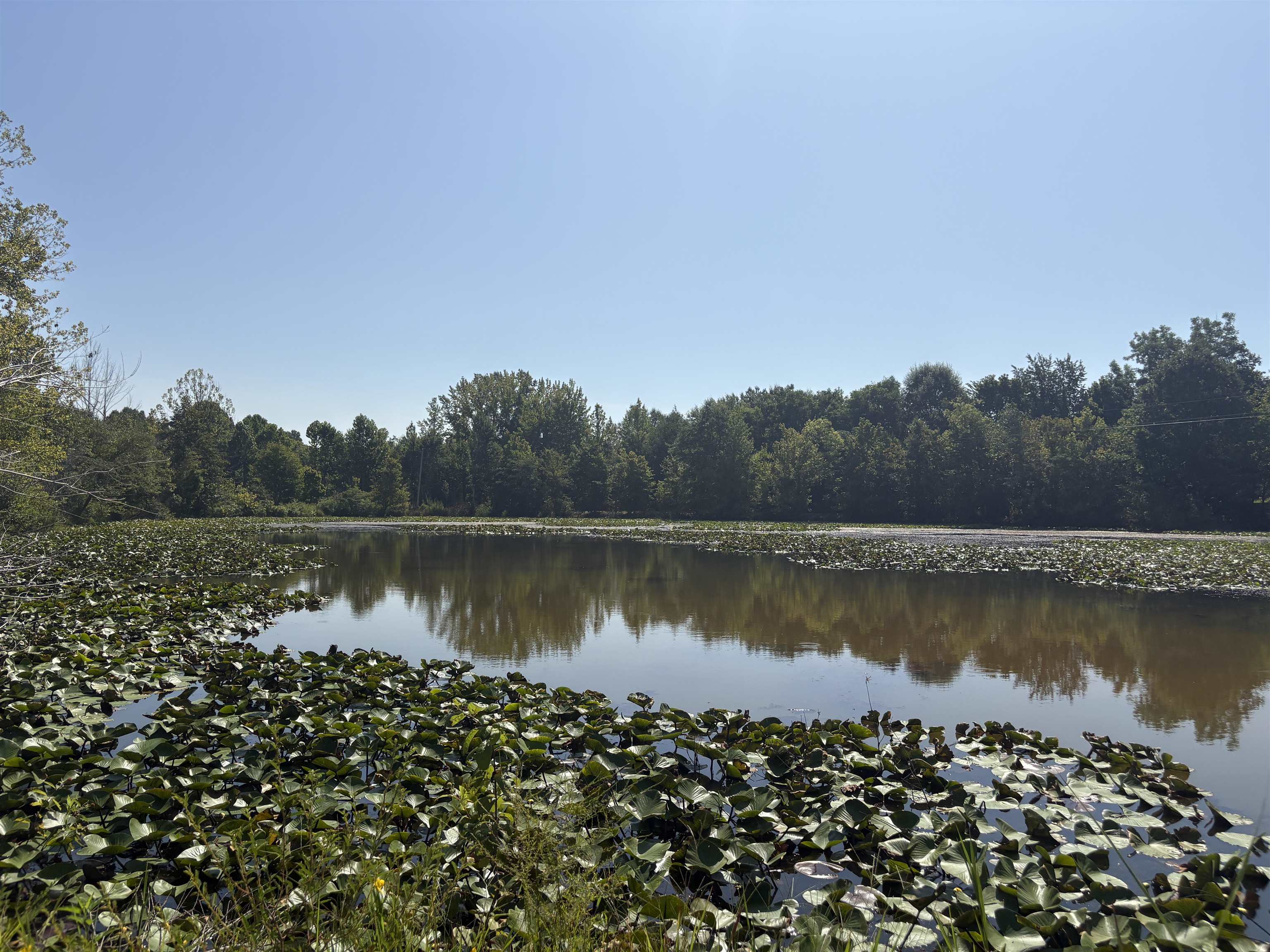 2780 Overton Loop Property Photo 8