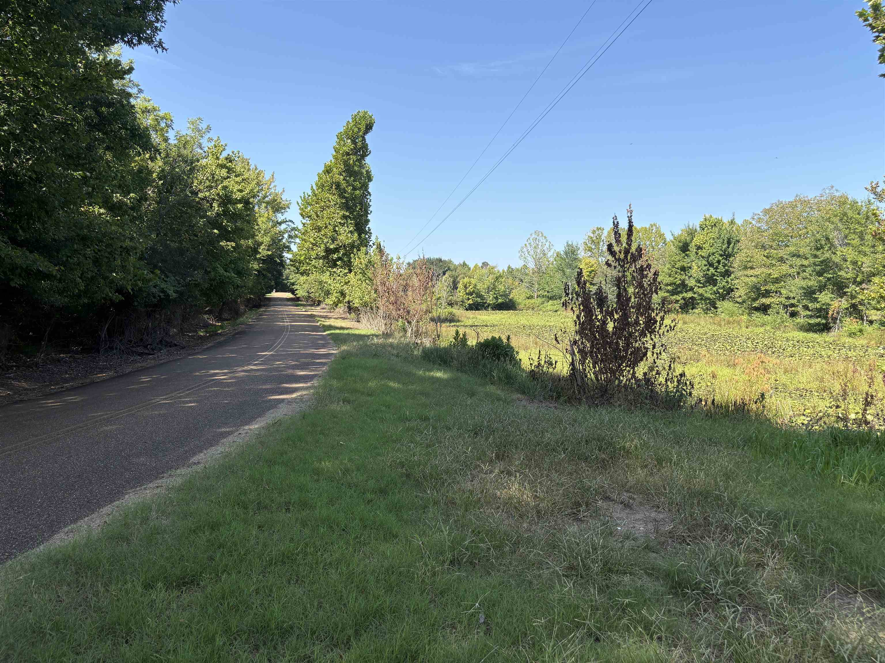 2780 Overton Loop Property Photo 17