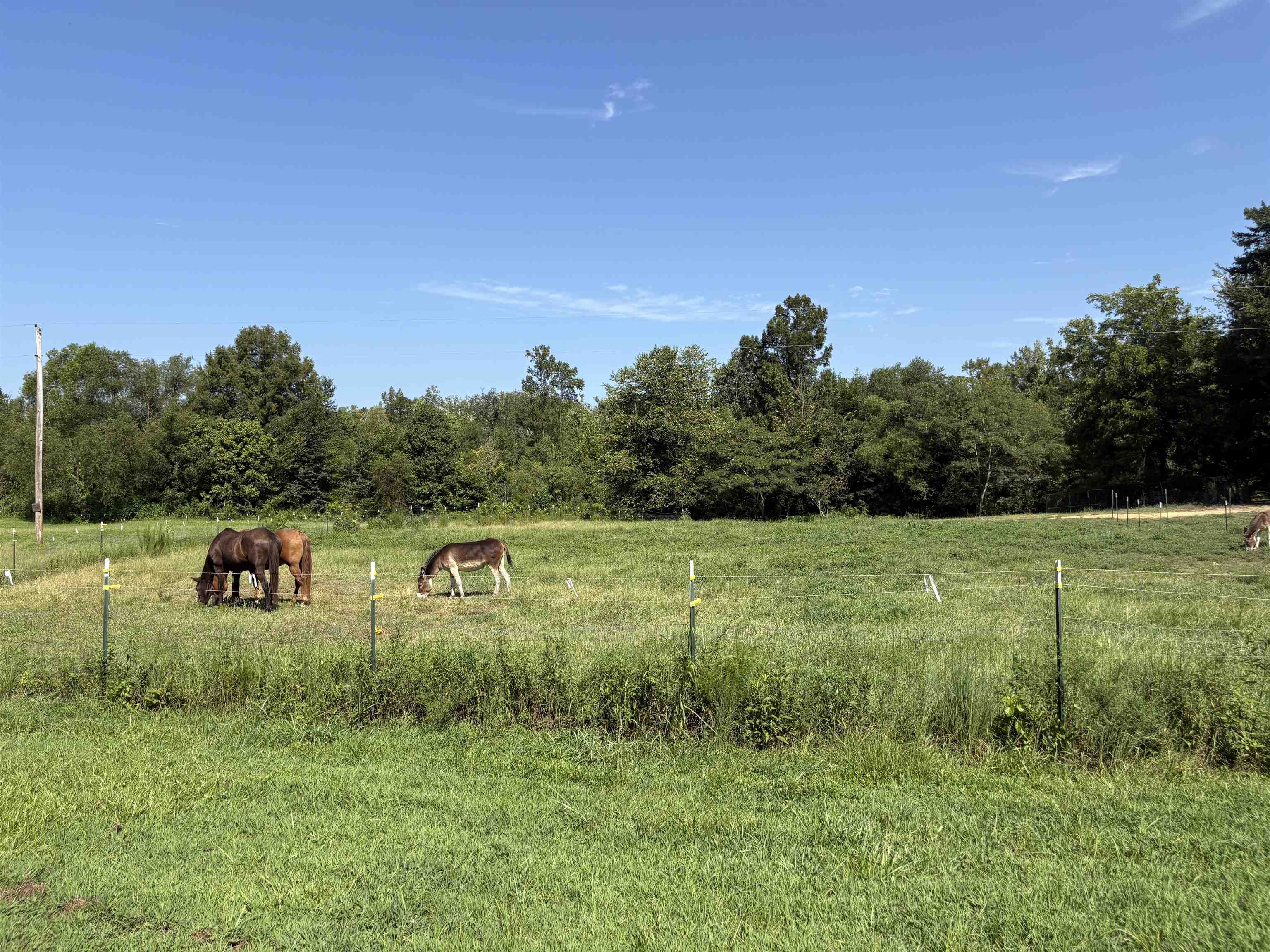 2780 Overton Loop Property Photo 18
