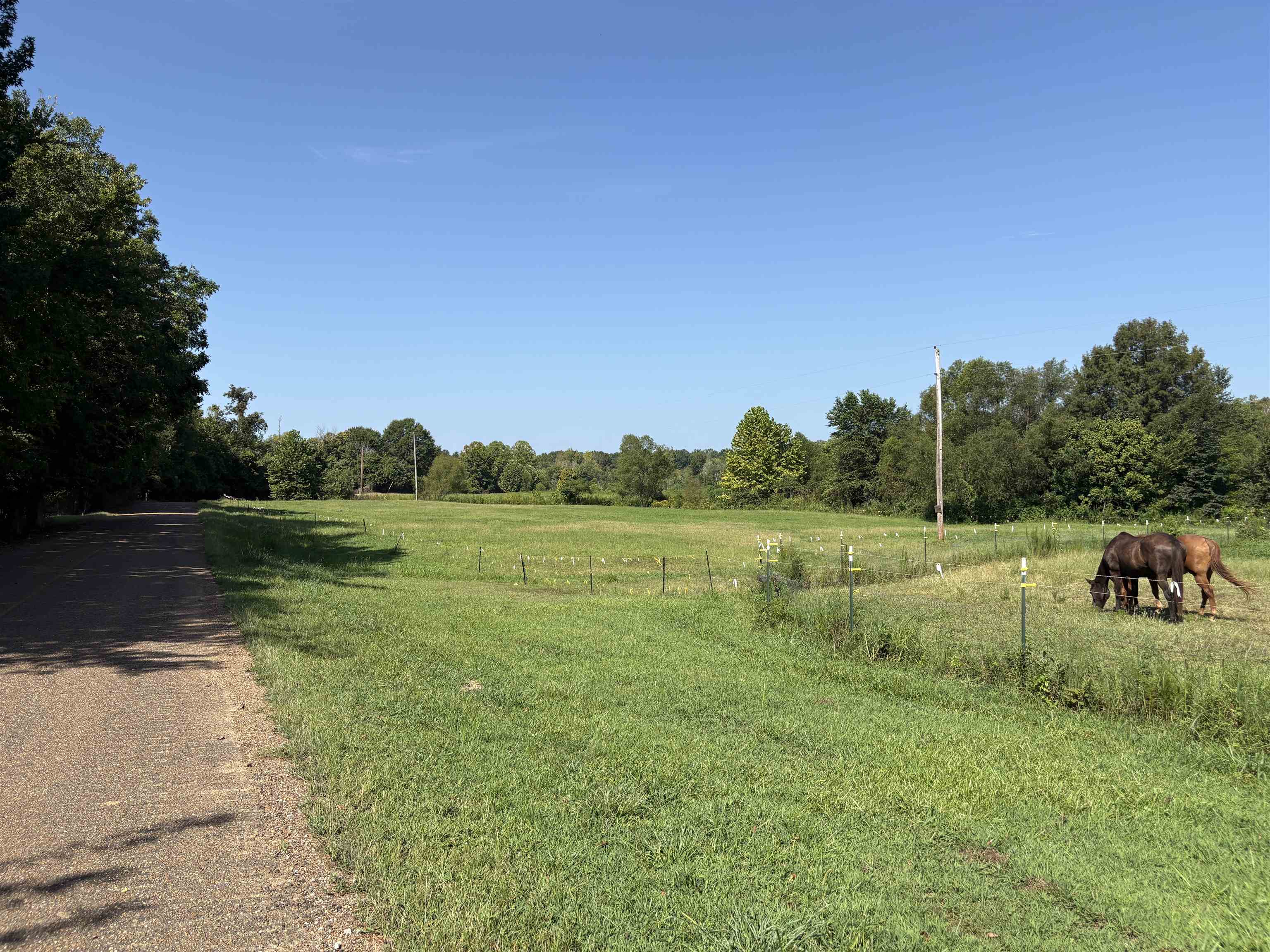 2780 Overton Loop Property Photo 19