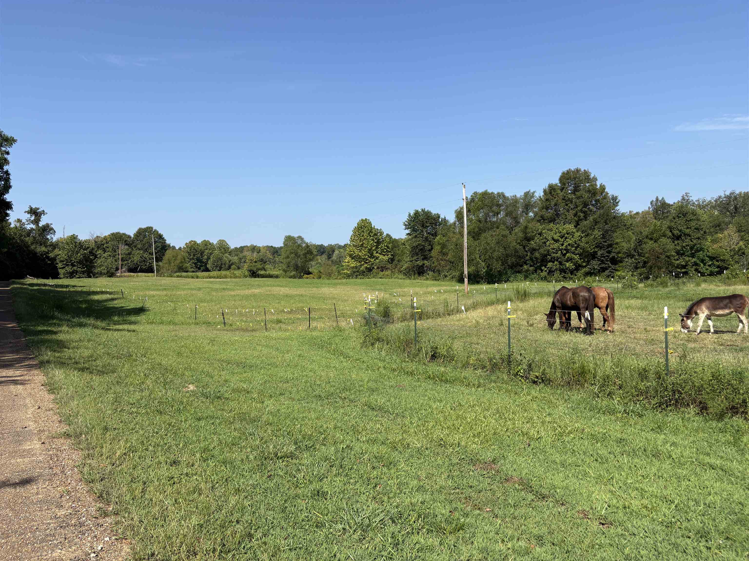 2780 Overton Loop Property Photo 20