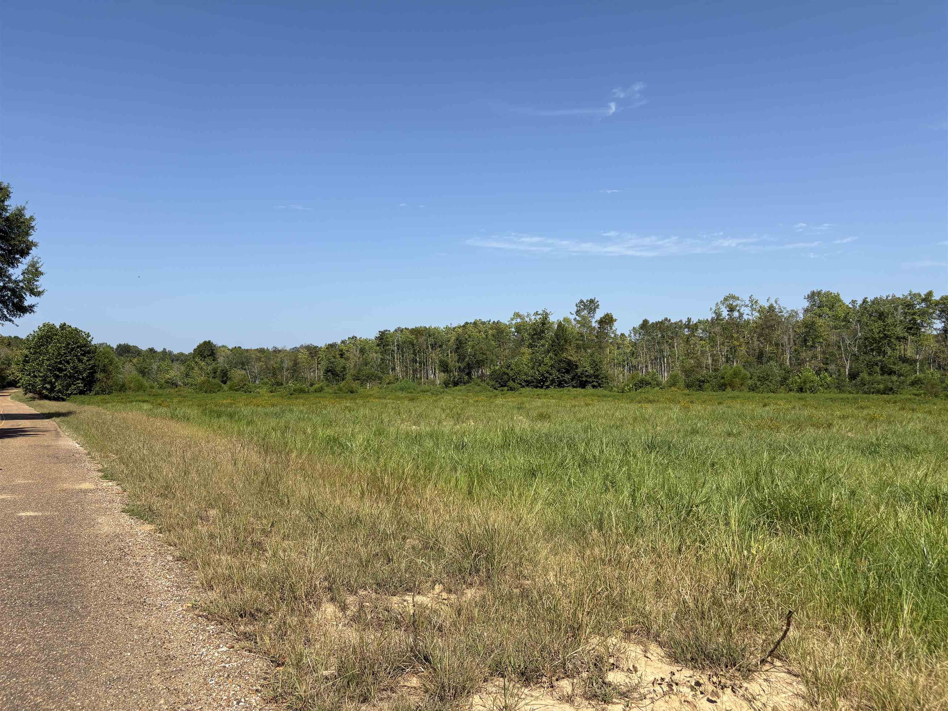 2780 Overton Loop Property Photo 21