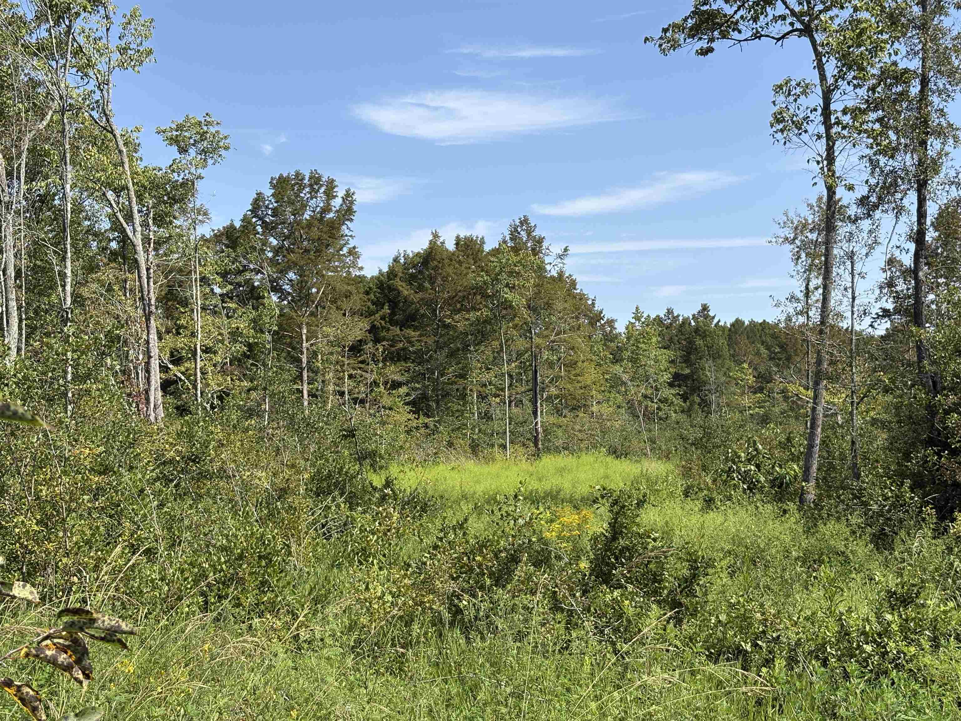2780 Overton Loop Property Photo 25