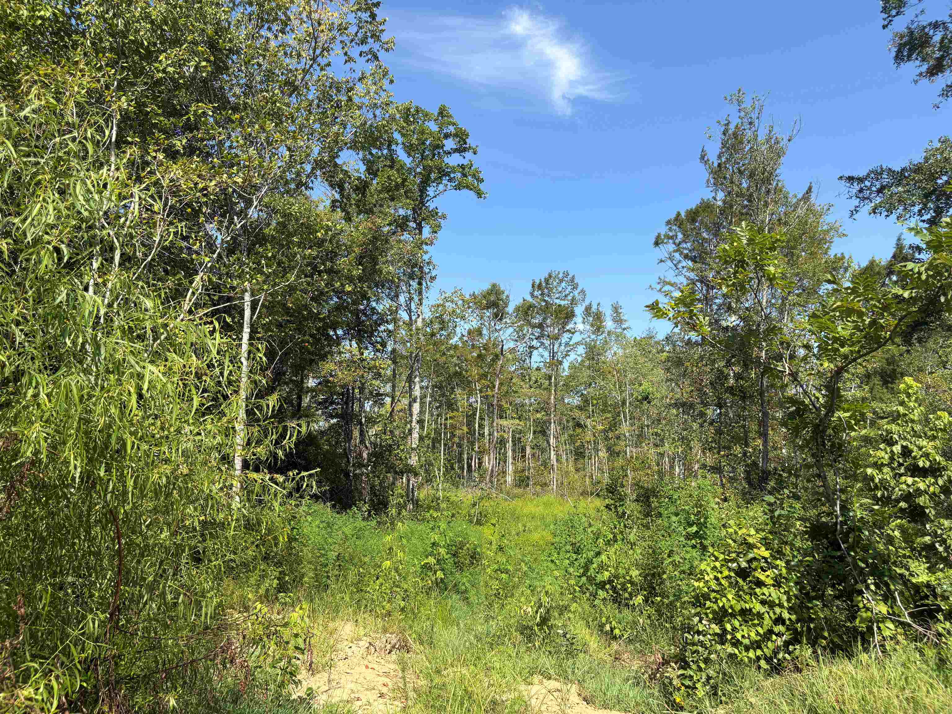 2780 Overton Loop Property Photo 28