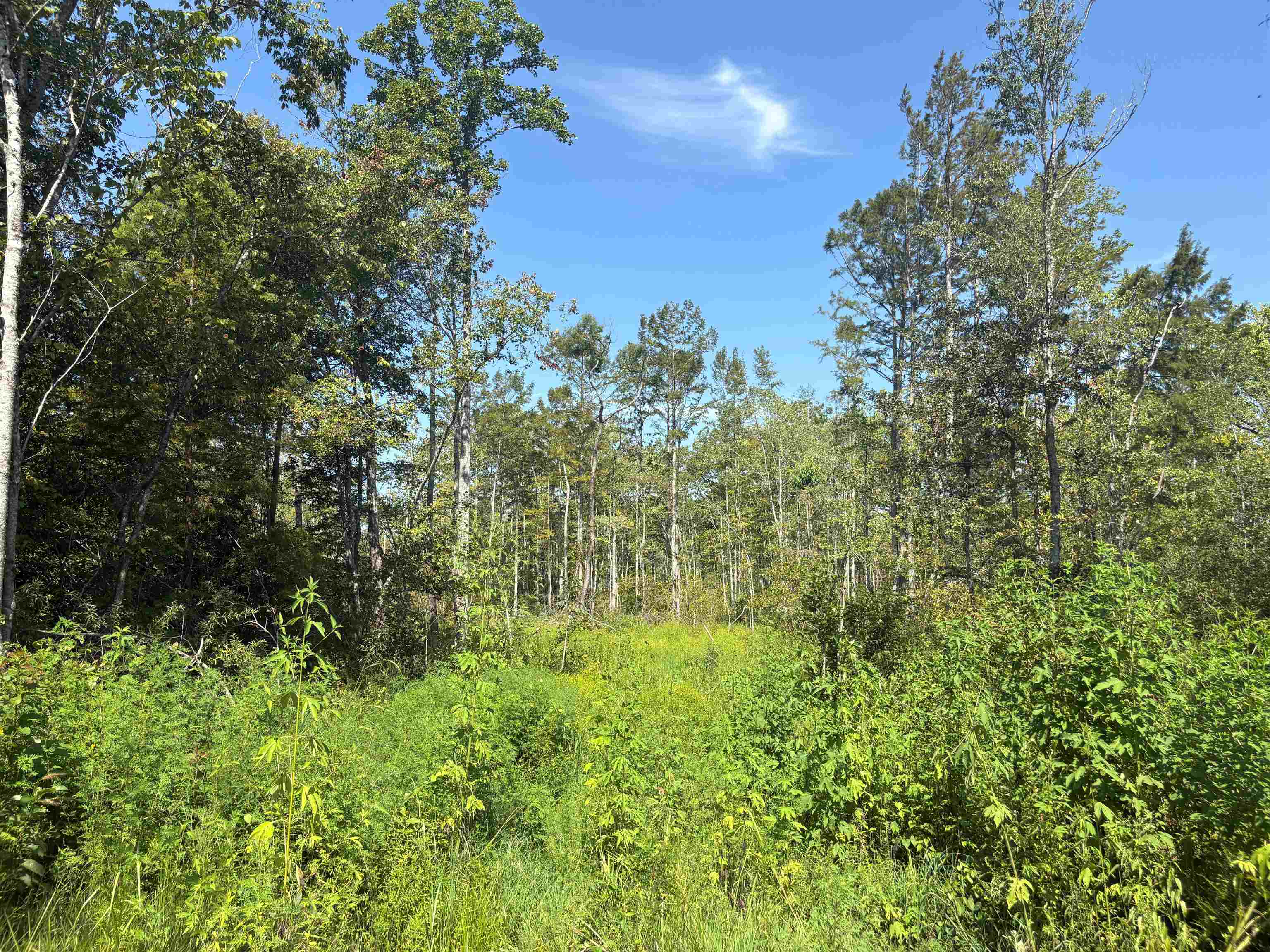 2780 Overton Loop Property Photo 31