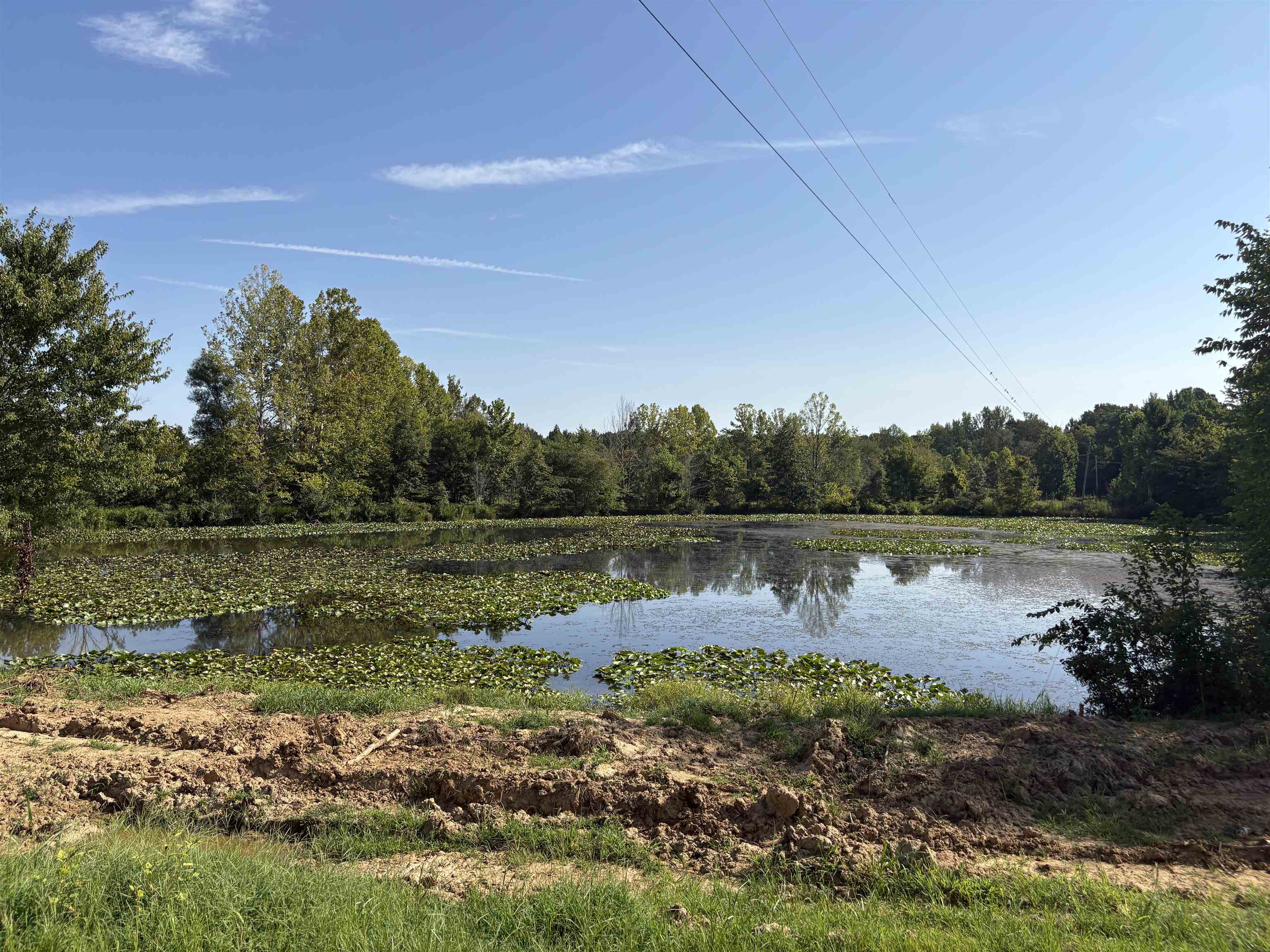 2780 Overton Loop Property Photo 35