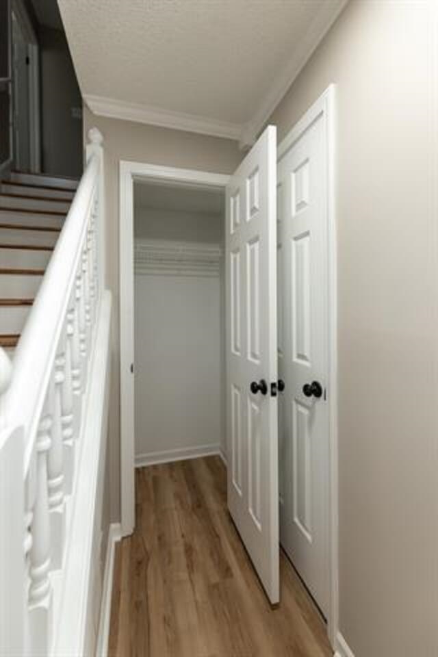 9102 Valkrie Ln Property Photo 10
