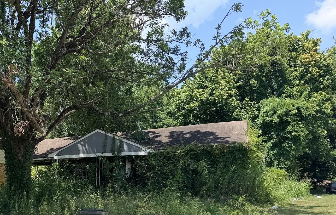 844 Brandywine Blvd Property Photo 3