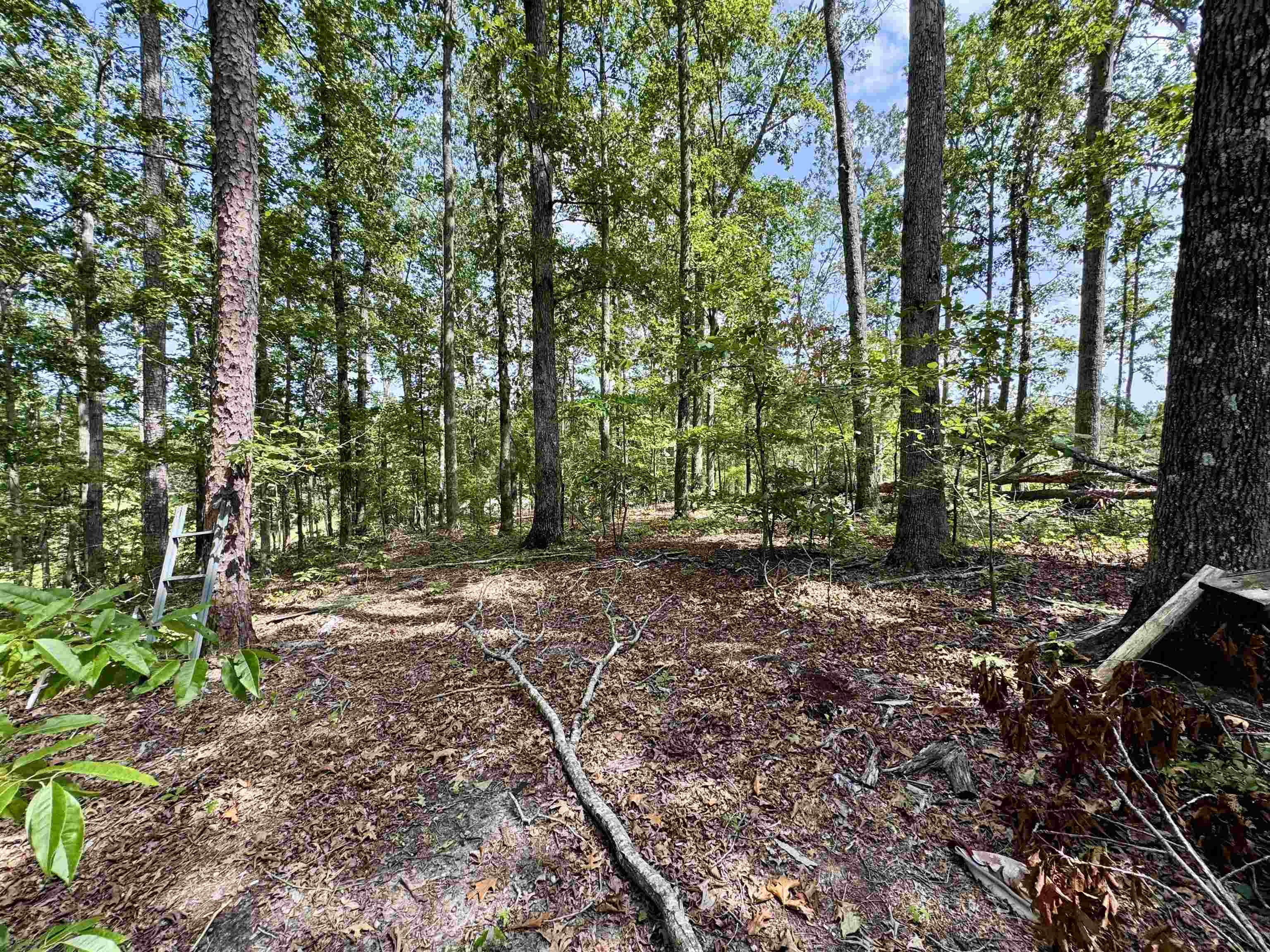 1550 County Home Rd Property Photo 33