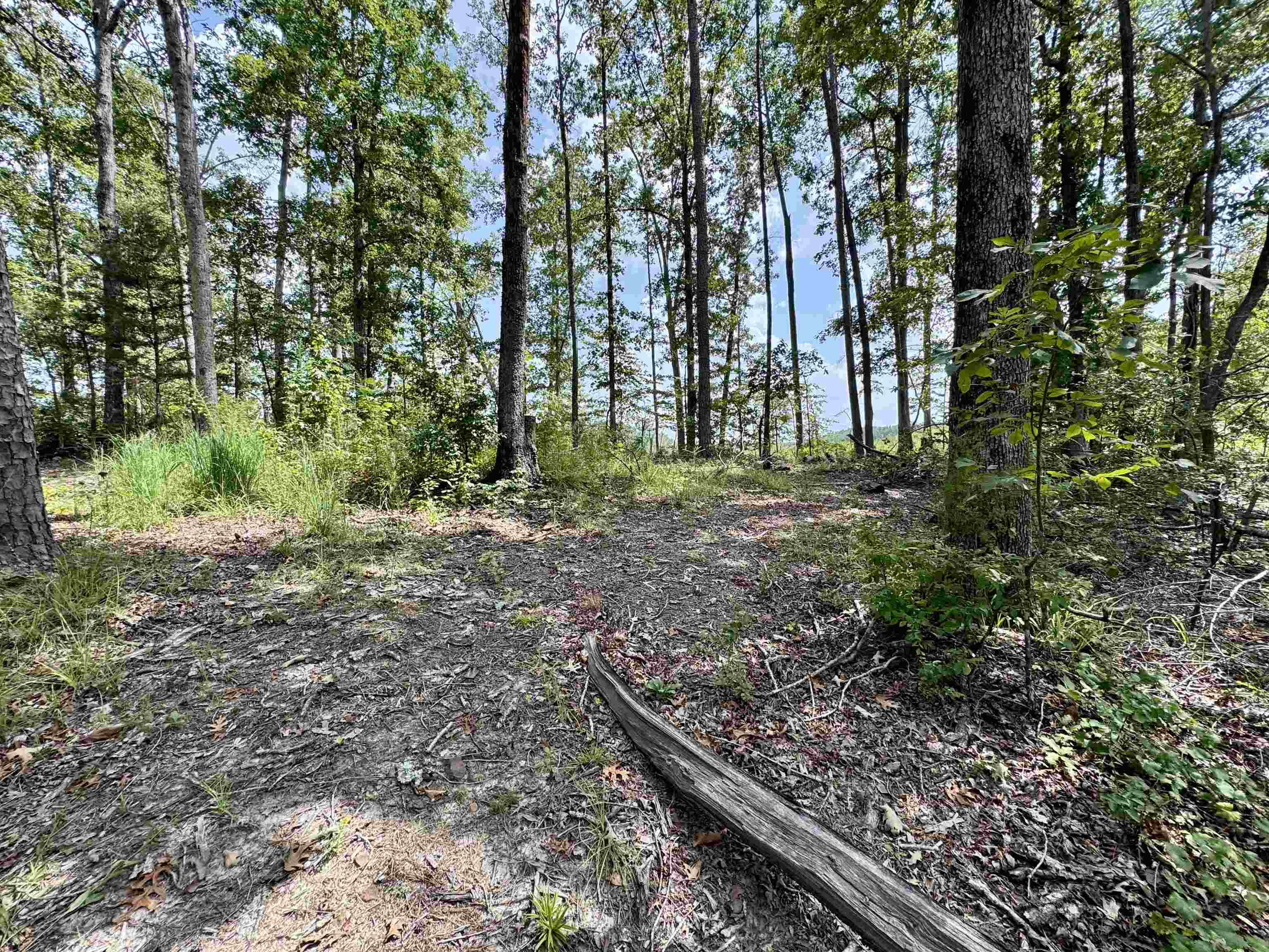 1550 County Home Rd Property Photo 34