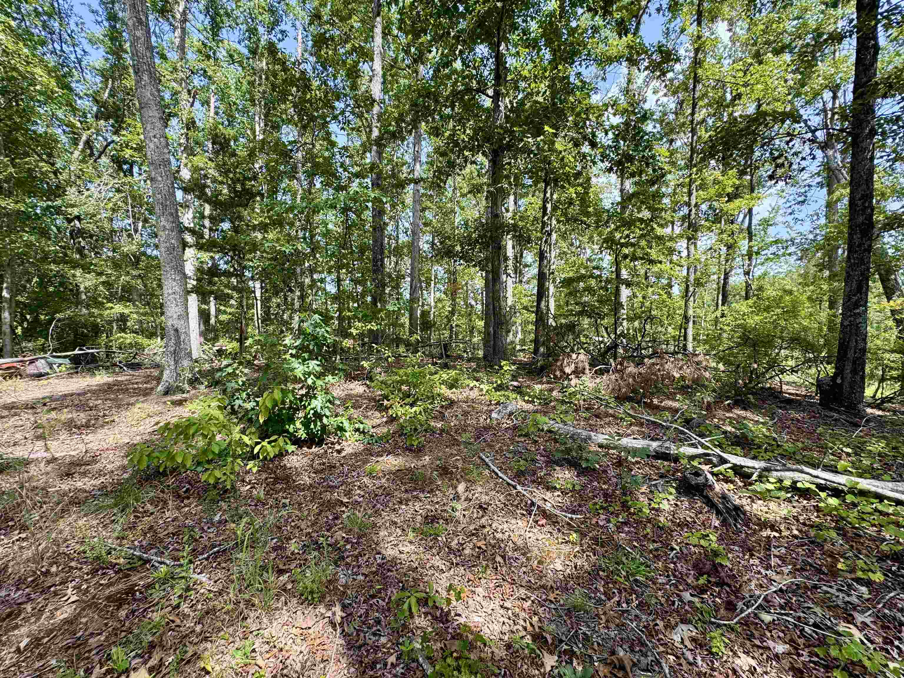 1550 County Home Rd Property Photo 35