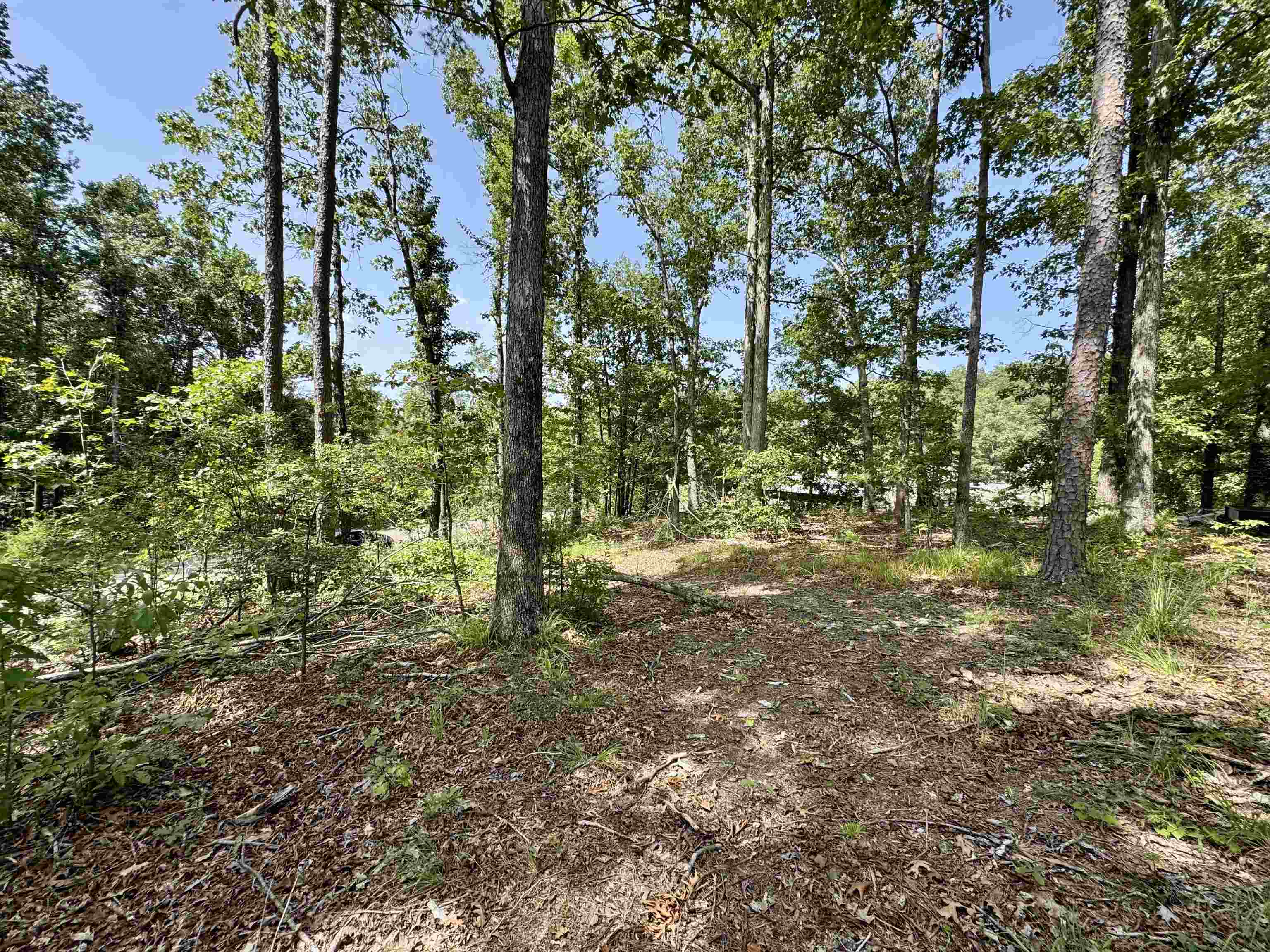 1550 County Home Rd Property Photo 36