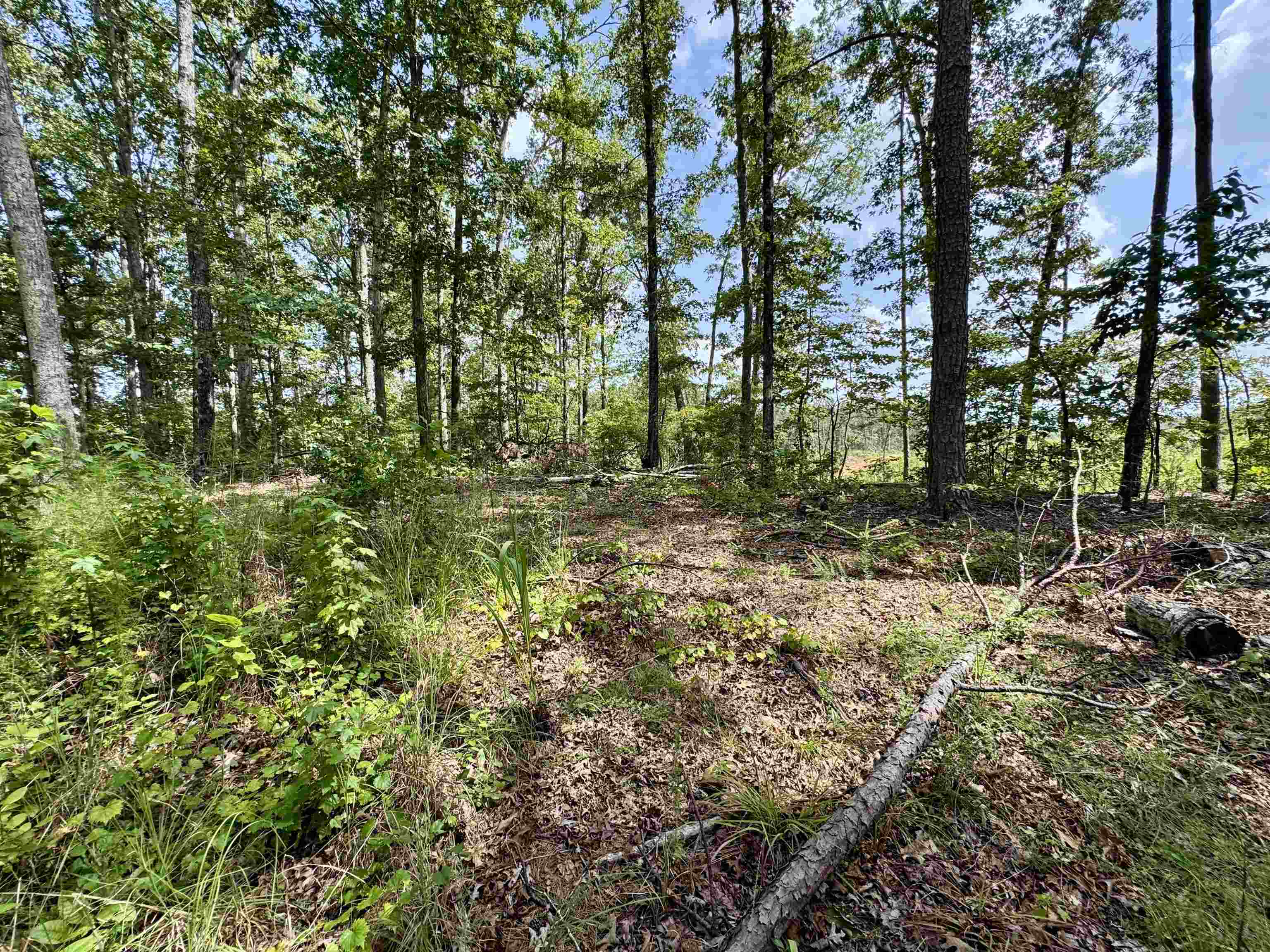 1550 County Home Rd Property Photo 37