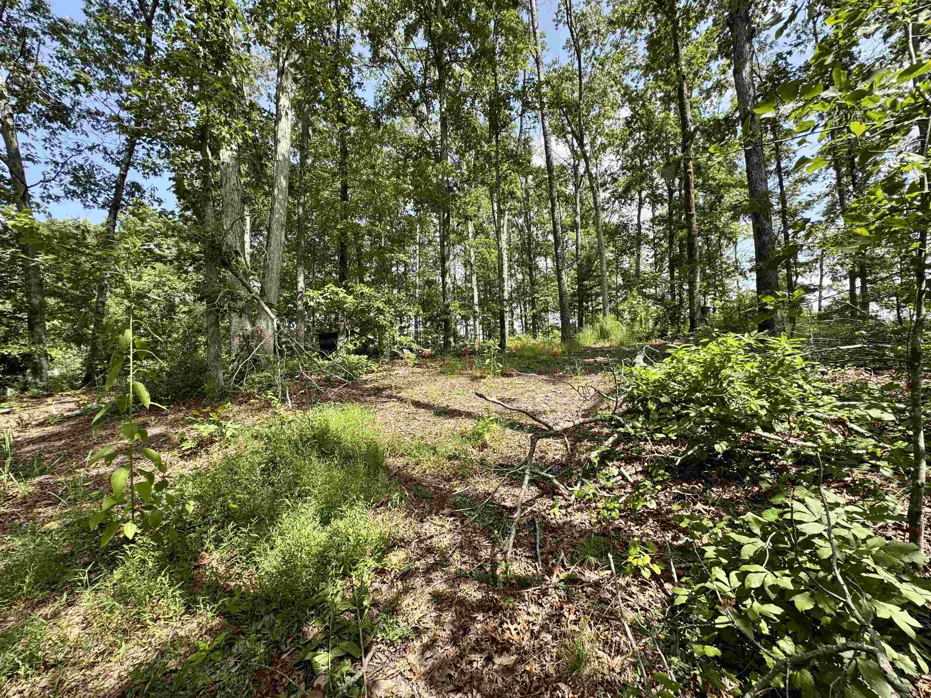 1550 County Home Rd Property Photo 38
