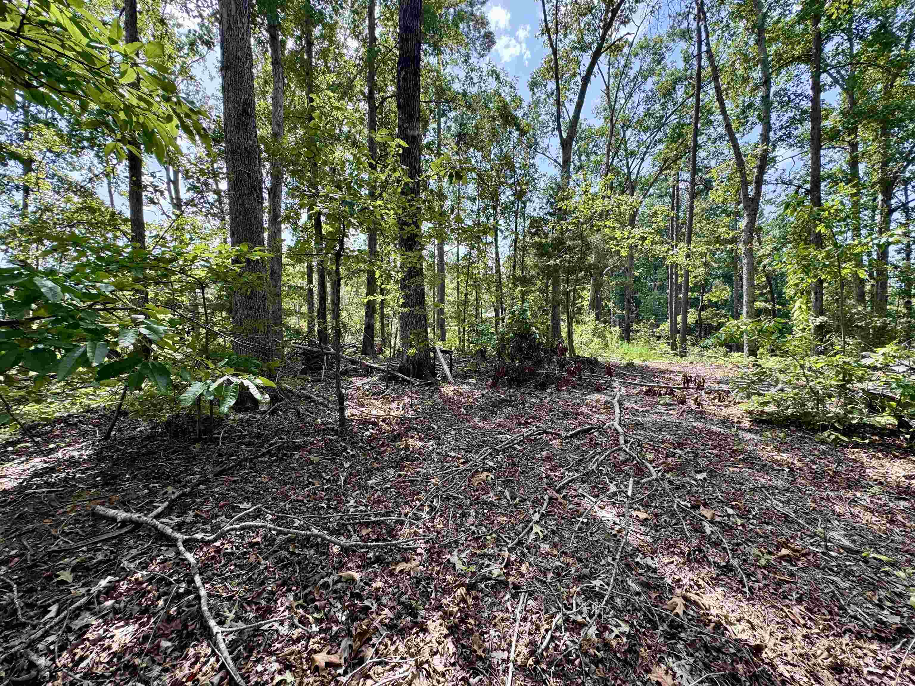1550 County Home Rd Property Photo 39