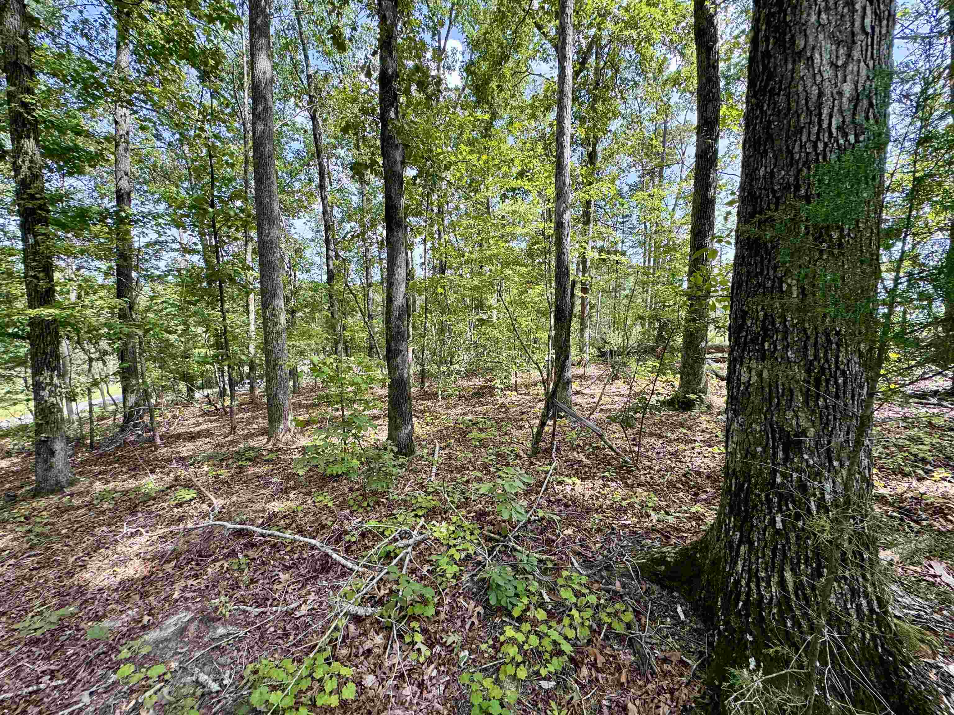 1550 County Home Rd Property Photo 40