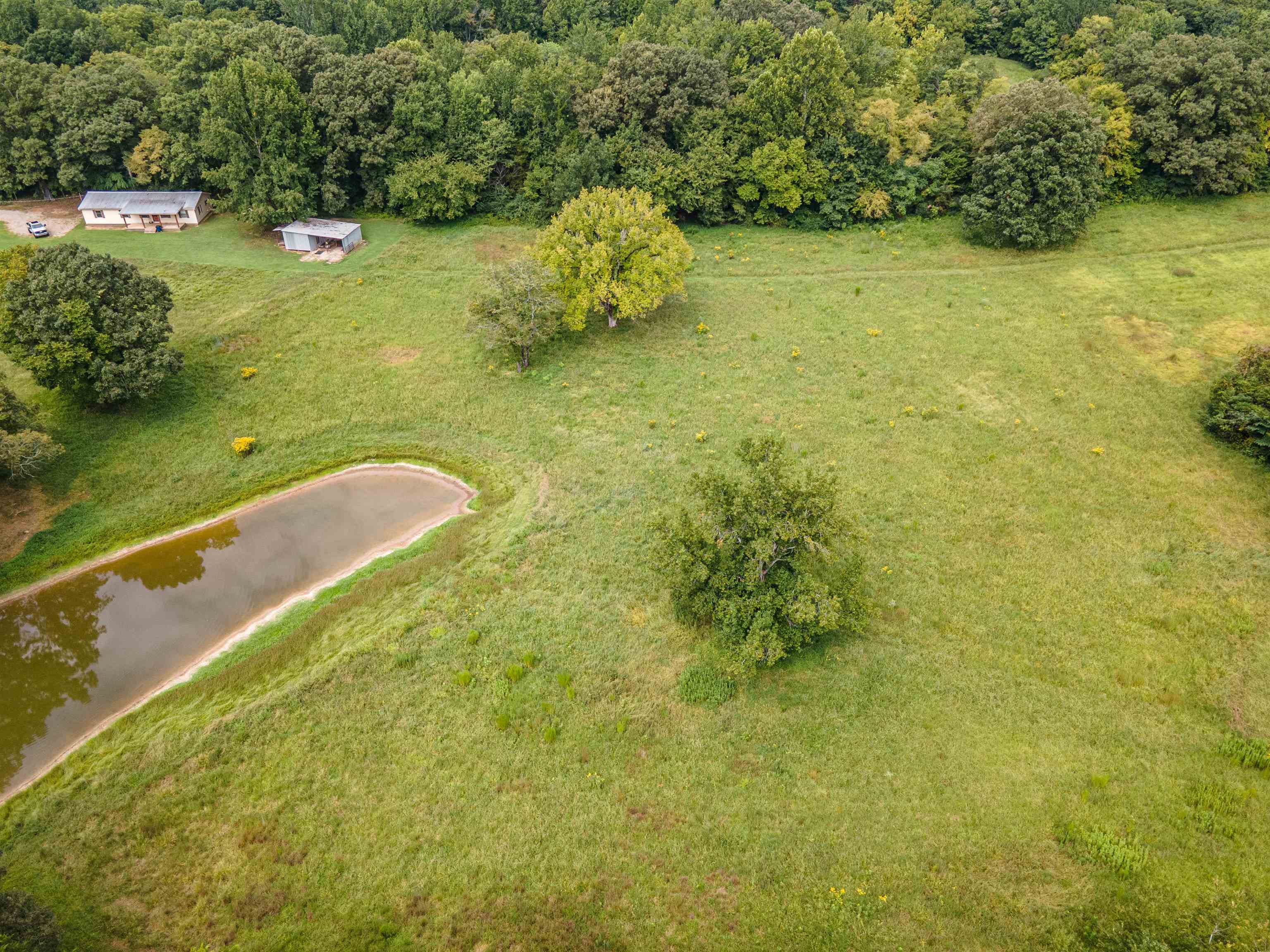 205 Umbarger Dr Property Photo 7