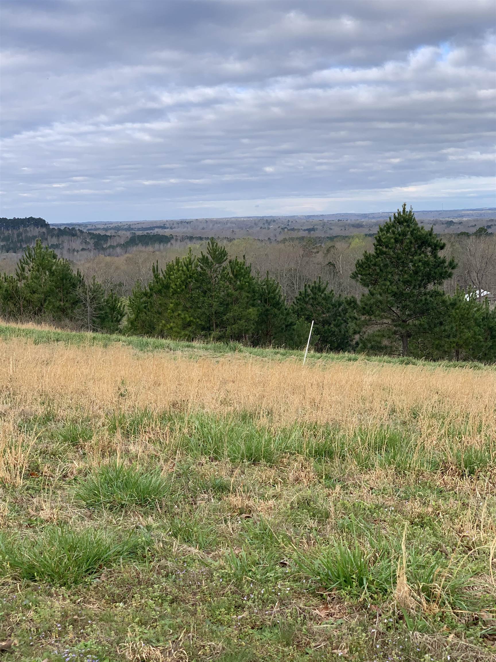 Turkey Knob Rd Property Photo 2