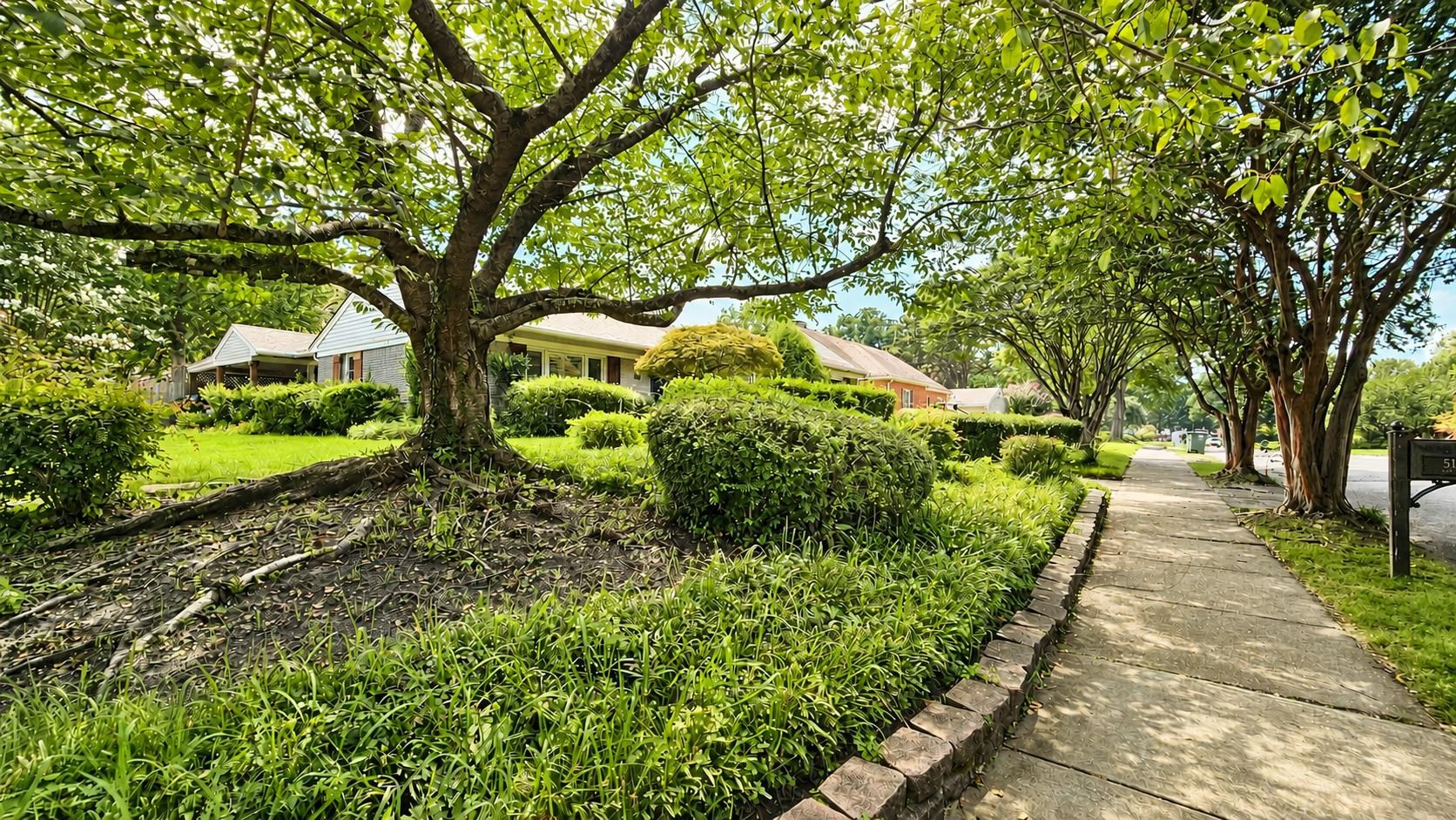5179 Peg Ln Property Photo 4