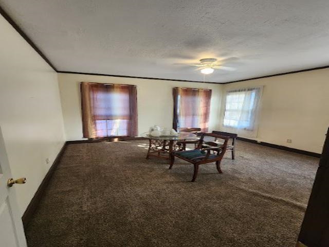 1029 Stonewall St Property Photo 14