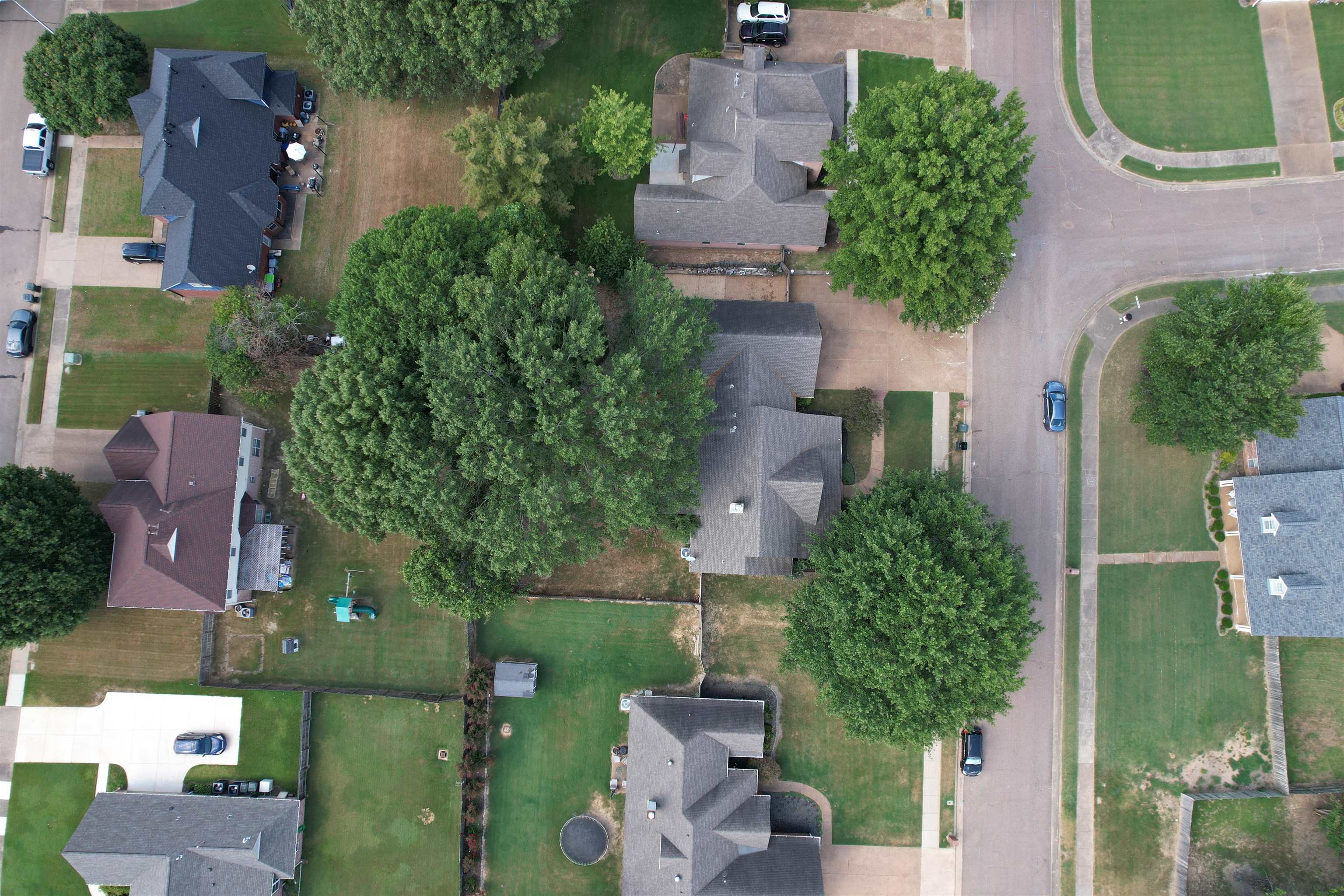5019 Rabbit Chase Ln Property Photo 4