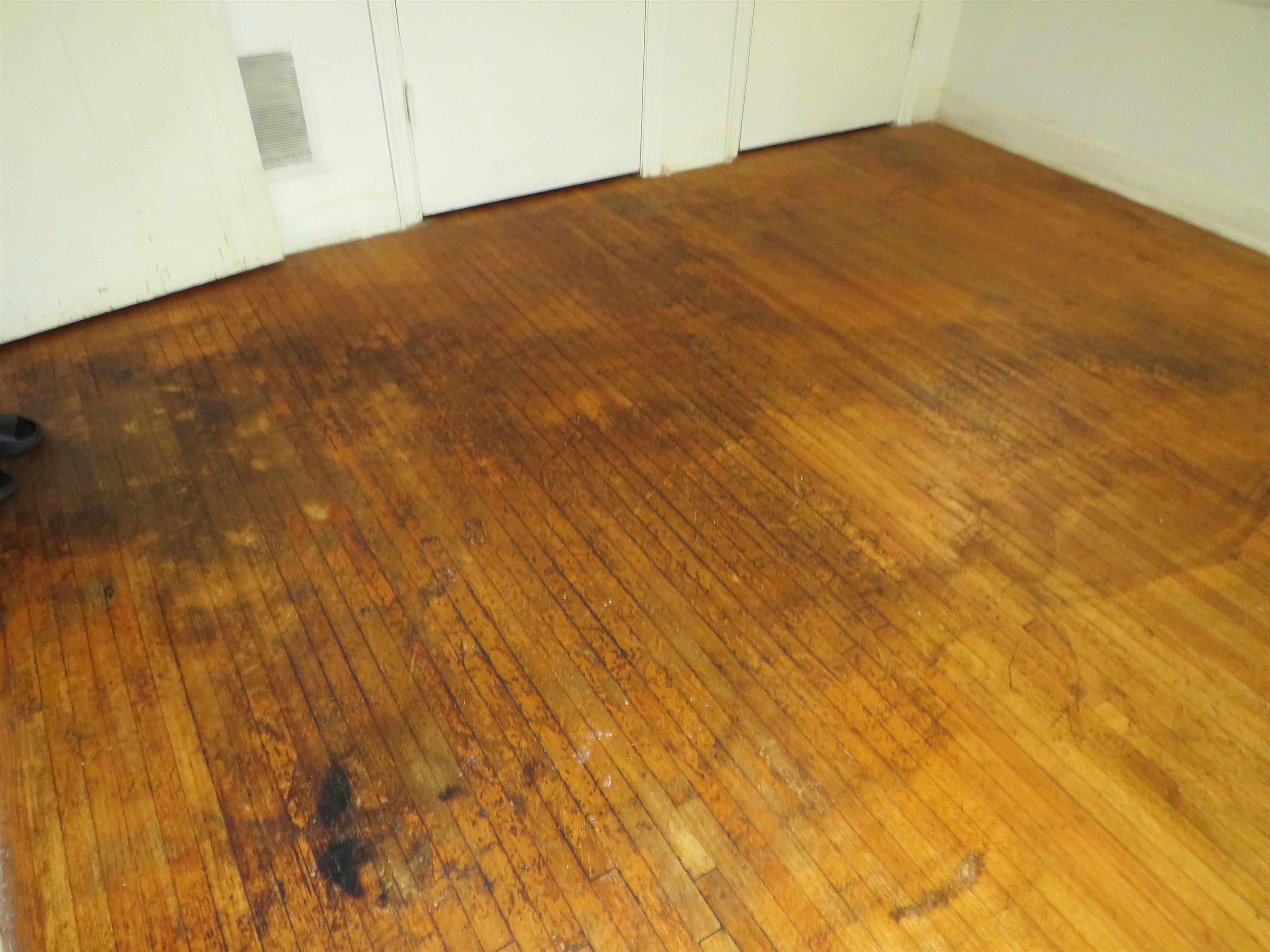 1657 S Perkins Rd Property Photo 21
