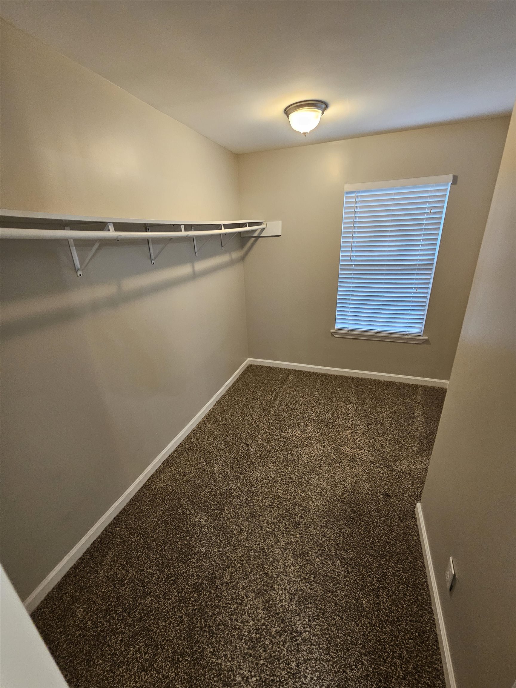 2933 Billy Cross Dr Property Photo 15