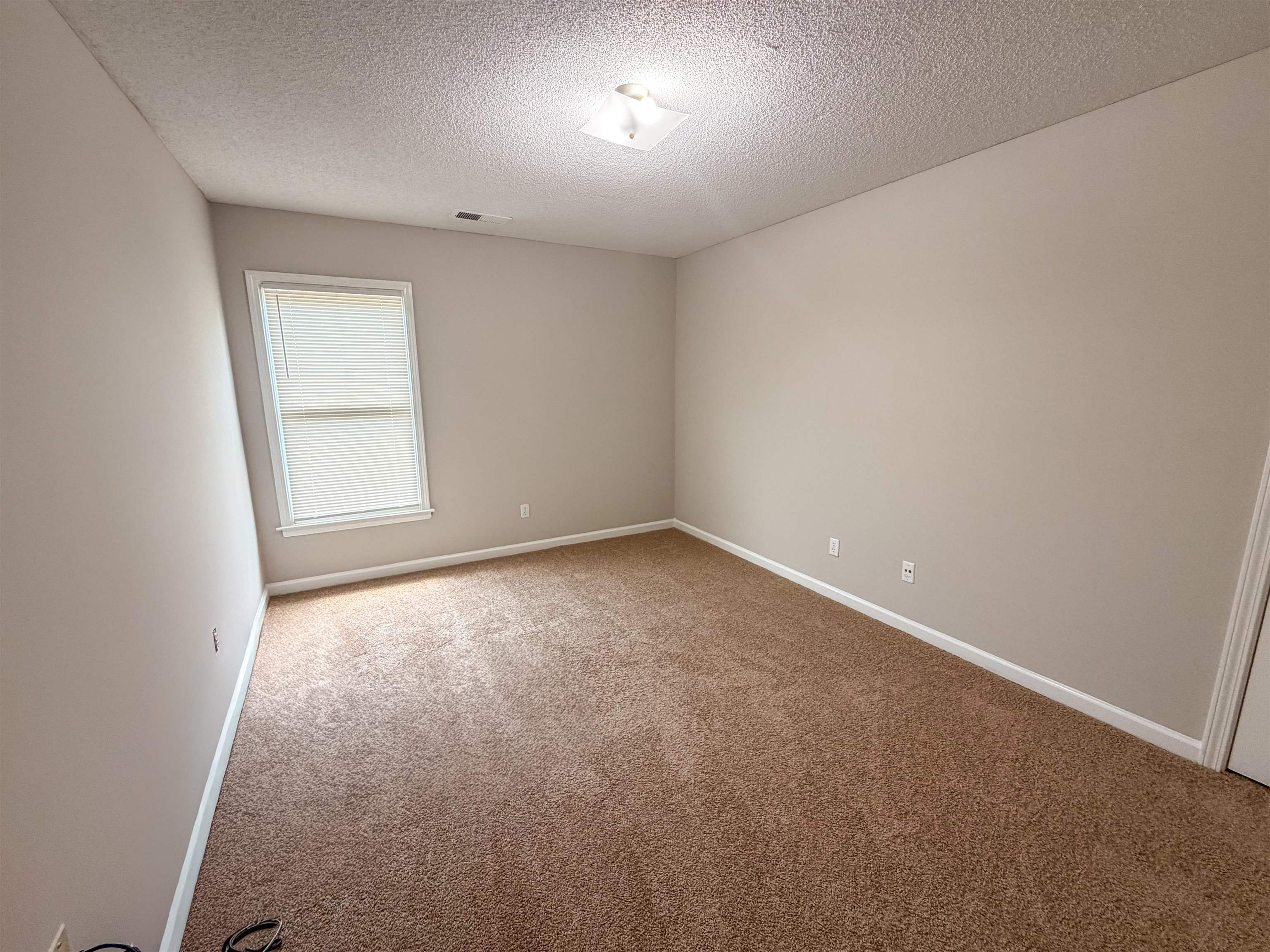 505 Fernleigh Cv Property Photo 29