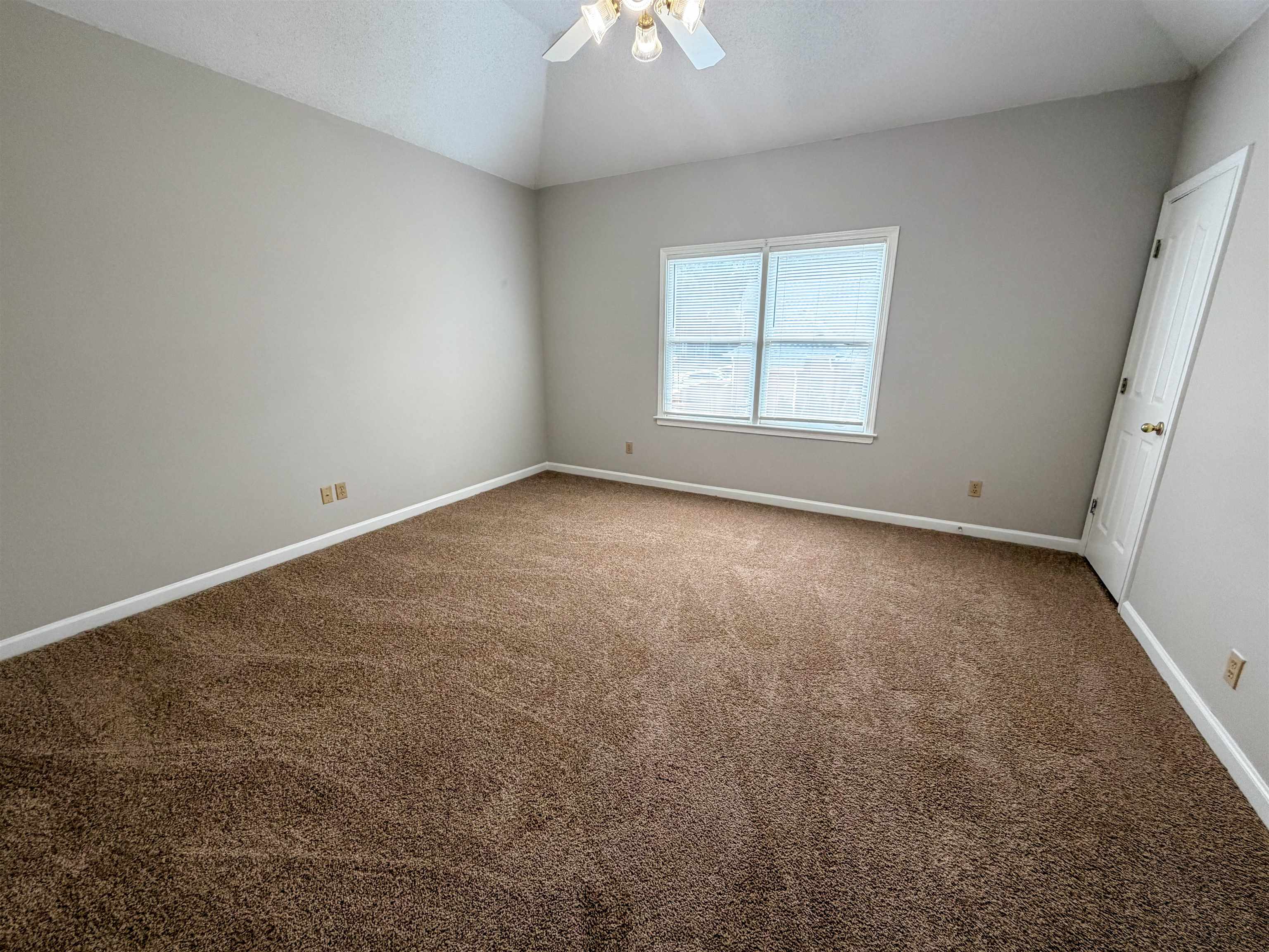 505 Fernleigh Cv Property Photo 31