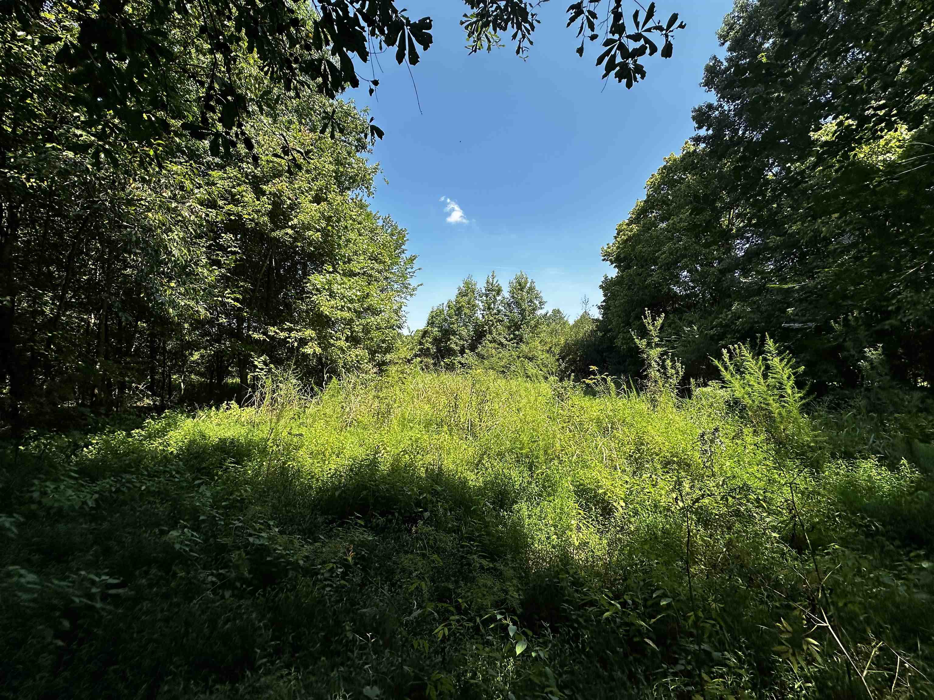 2639 Reid Hooker Rd Property Photo 8