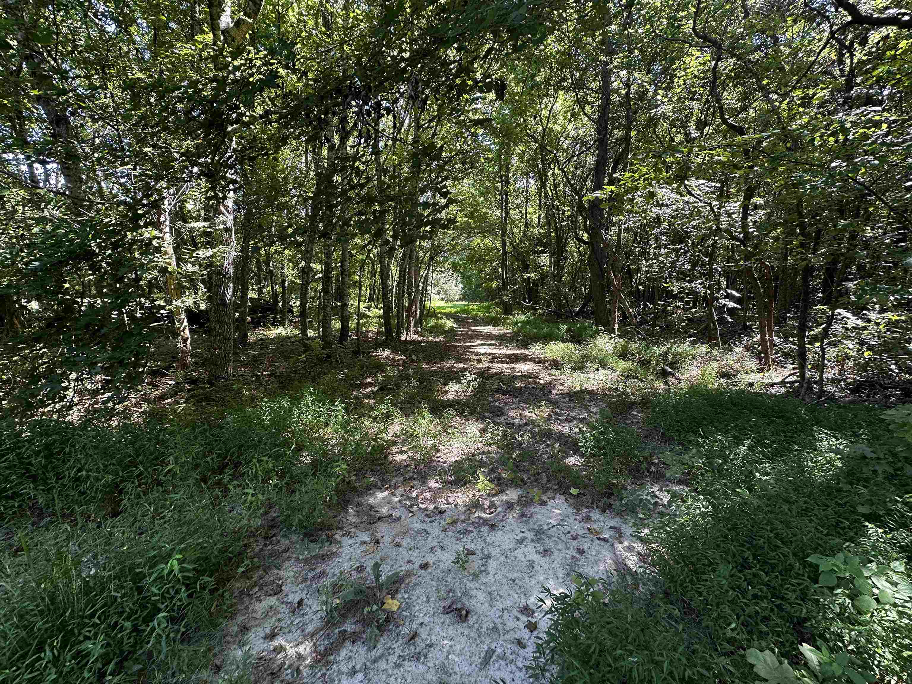 2639 Reid Hooker Rd Property Photo 9
