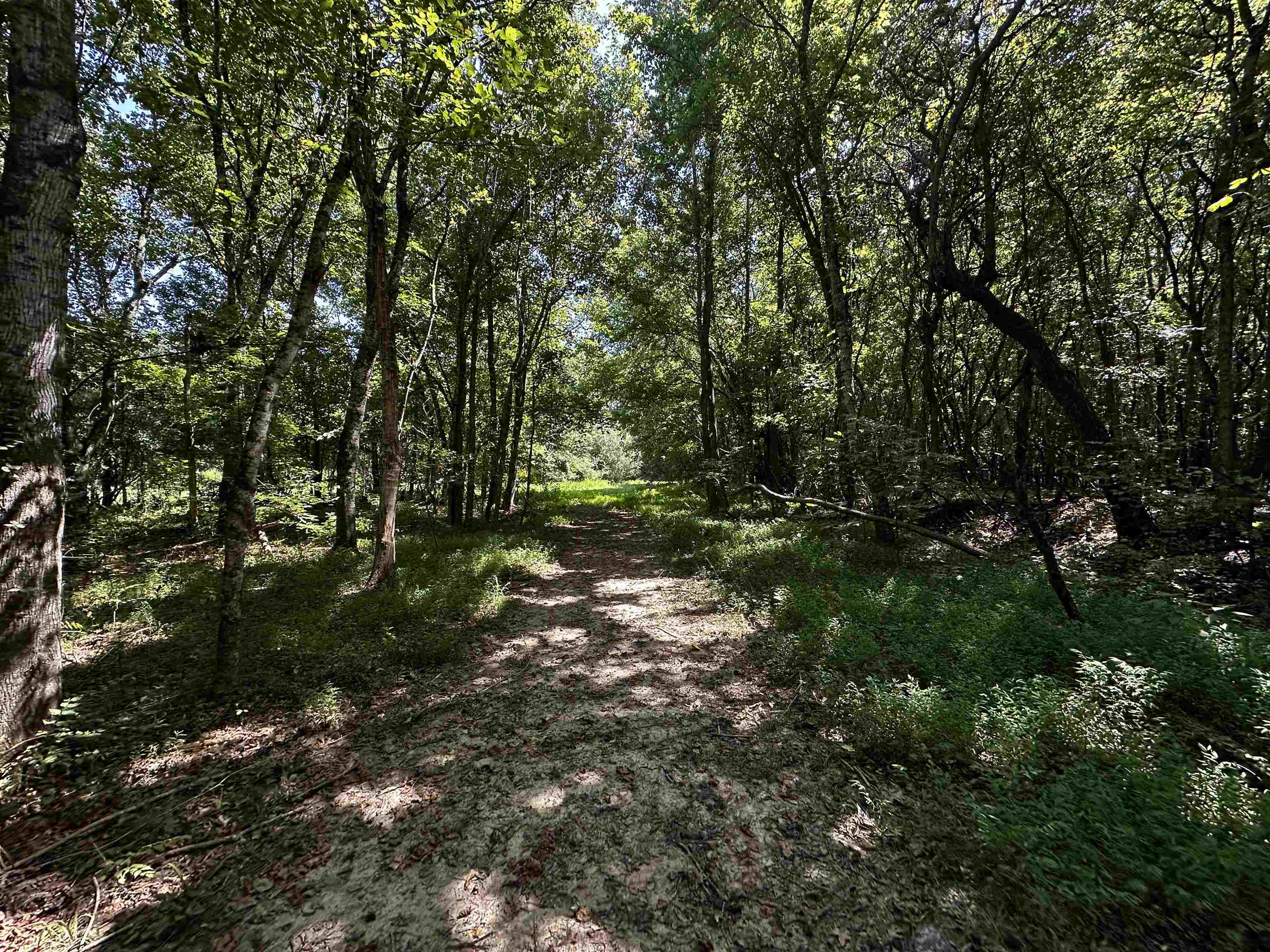2639 Reid Hooker Rd Property Photo 10