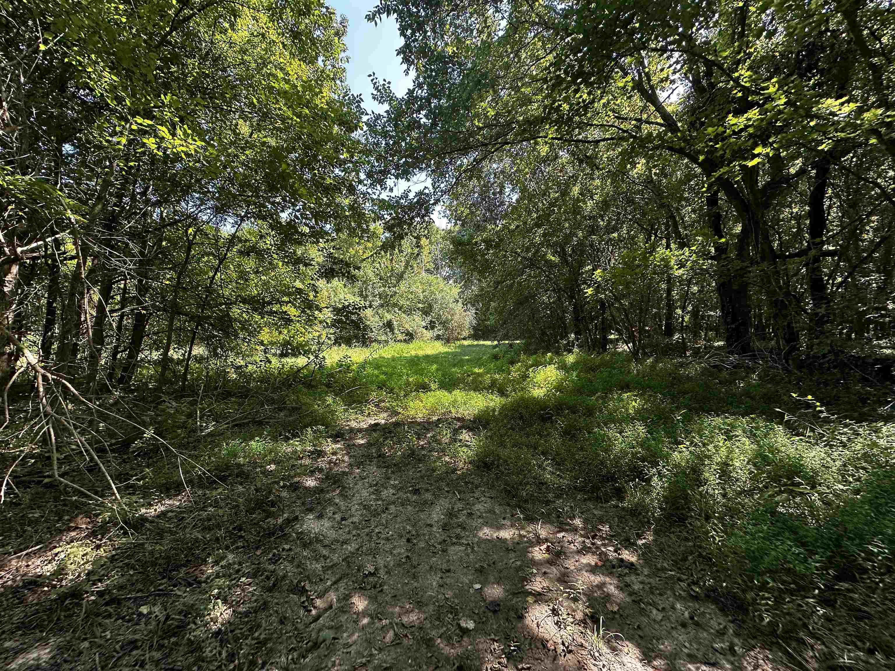 2639 Reid Hooker Rd Property Photo 11