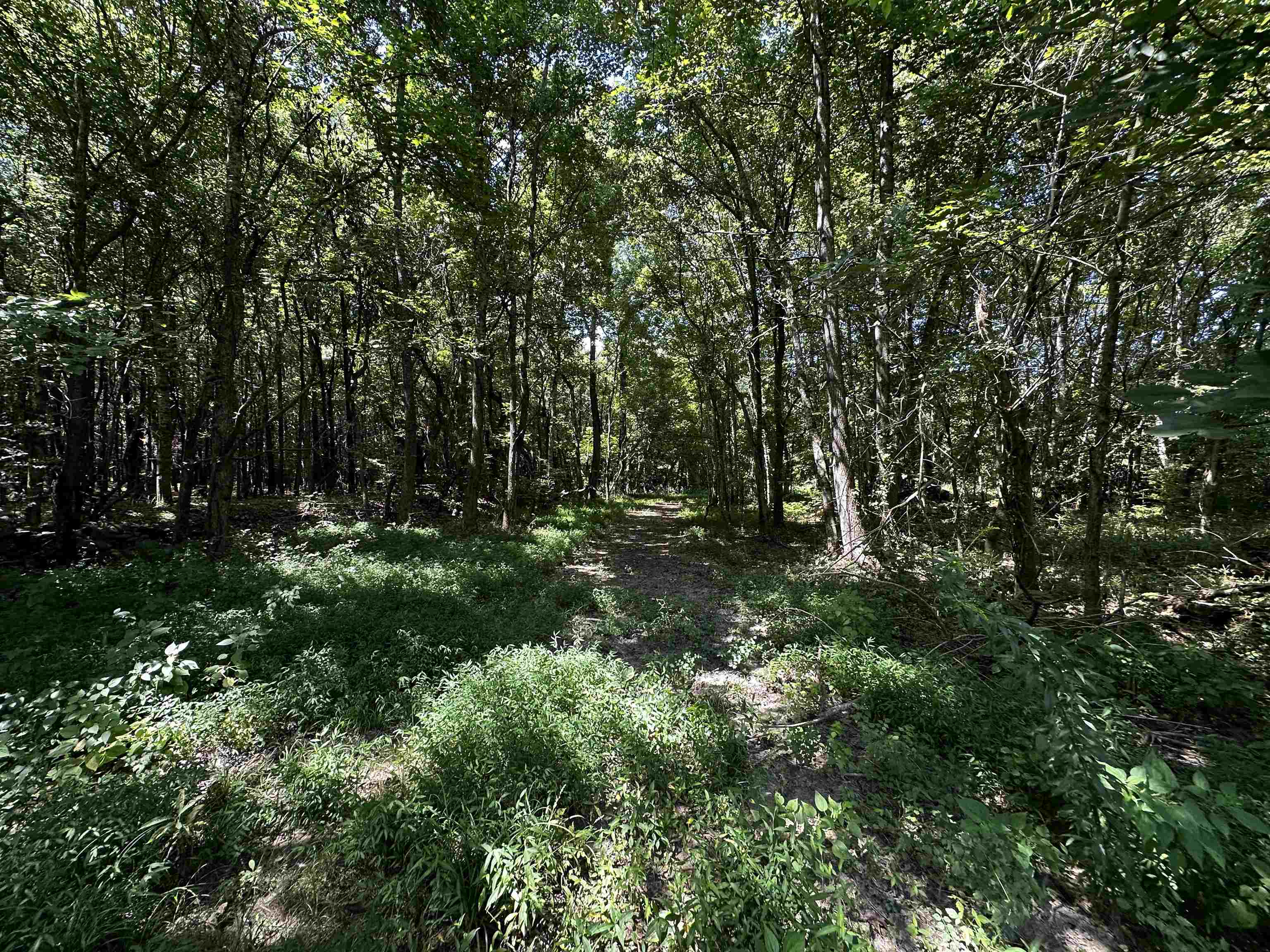2639 Reid Hooker Rd Property Photo 12