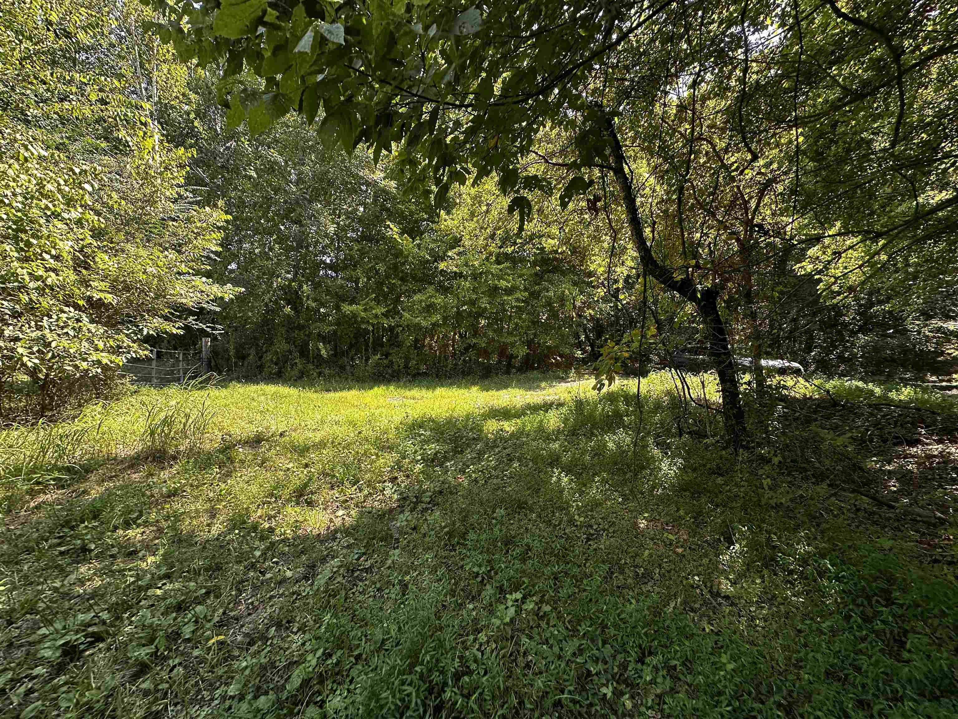 2639 Reid Hooker Rd Property Photo 13