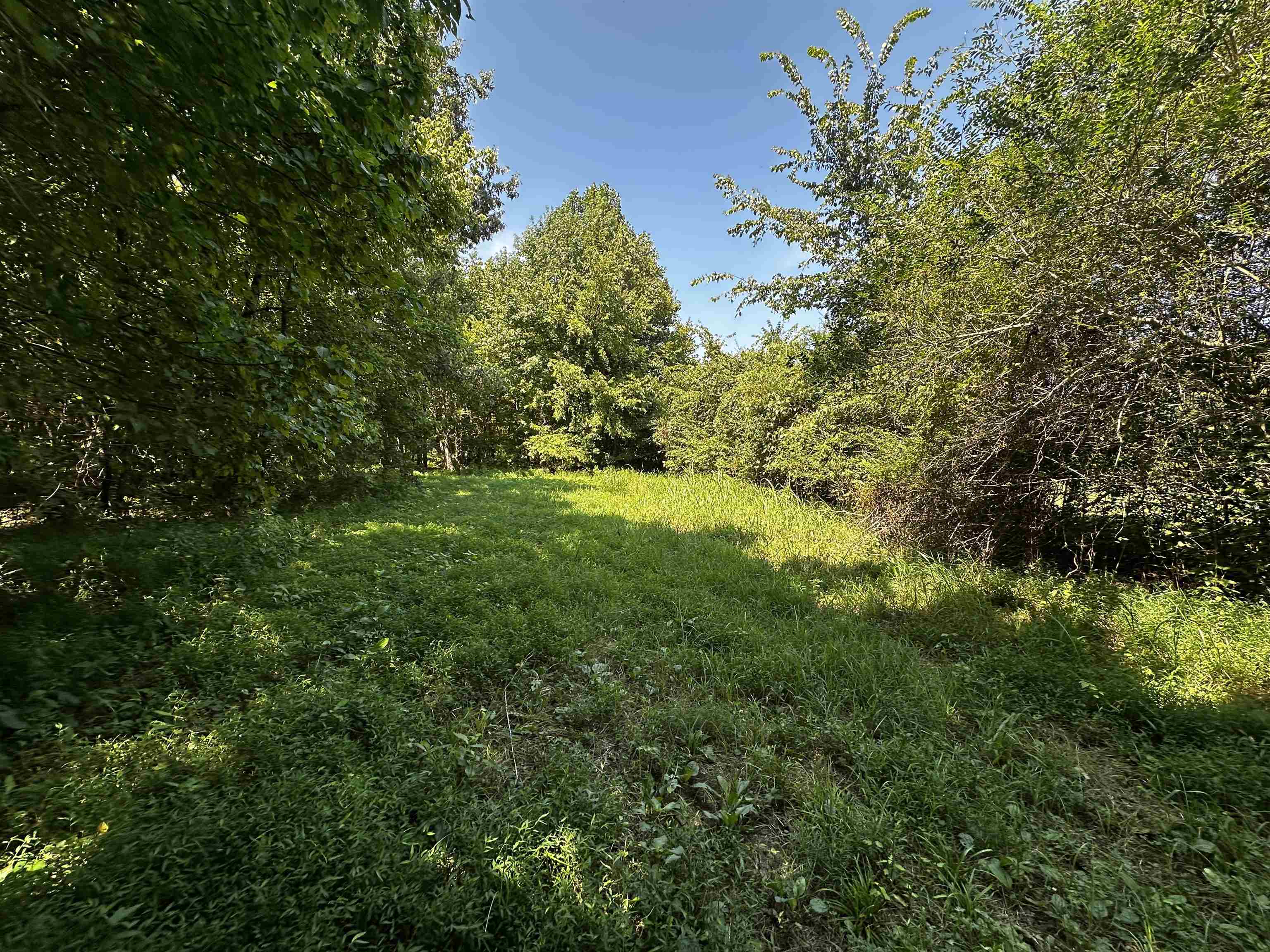 2639 Reid Hooker Rd Property Photo 14