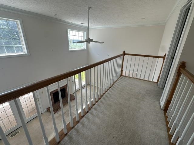 4925 State Route 225 Hwy Property Photo 14