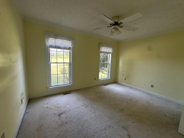 4925 State Route 225 Hwy Property Photo 15