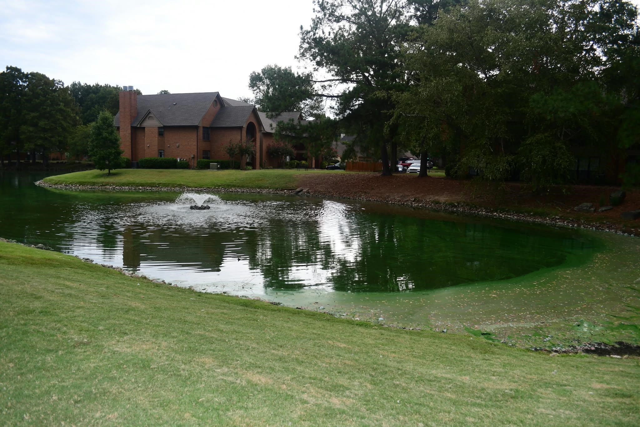6646 Pondside Cir 1 Property Photo 11