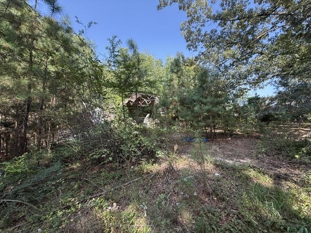 6555 Rabbit Creek Rd Property Photo 1