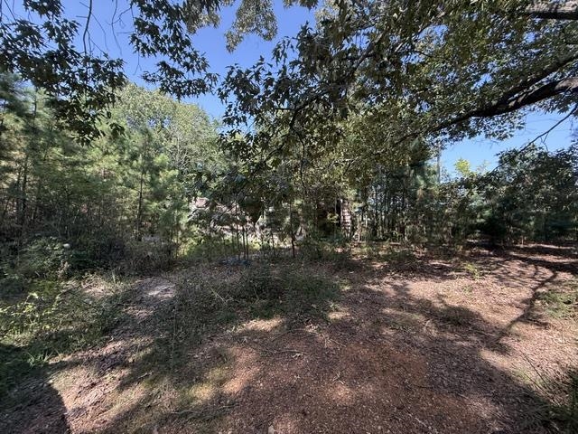 6555 Rabbit Creek Rd Property Photo 2