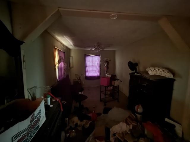 6555 Rabbit Creek Rd Property Photo 7