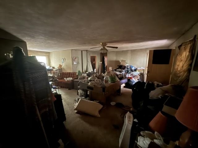 6555 Rabbit Creek Rd Property Photo 9