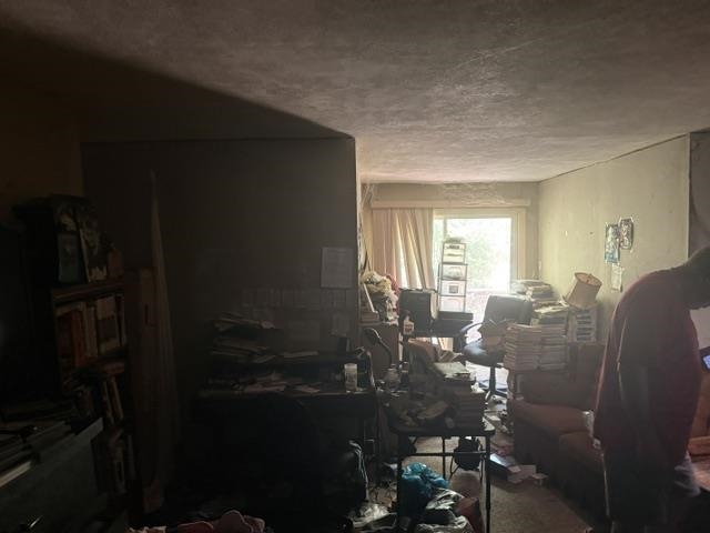 6555 Rabbit Creek Rd Property Photo 11