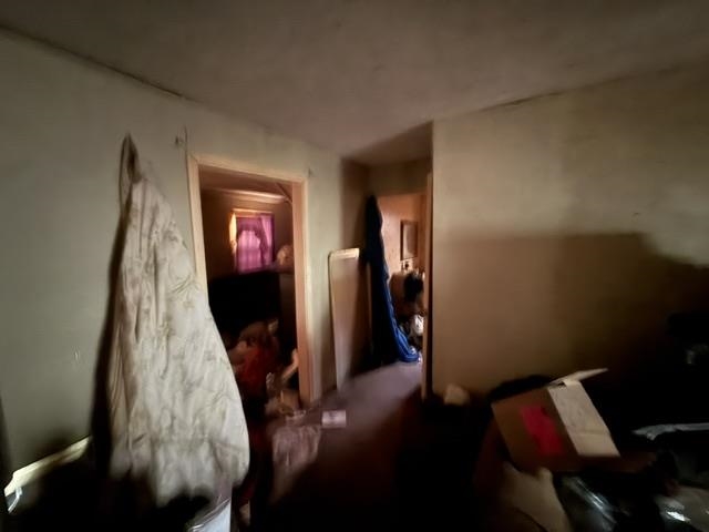 6555 Rabbit Creek Rd Property Photo 13